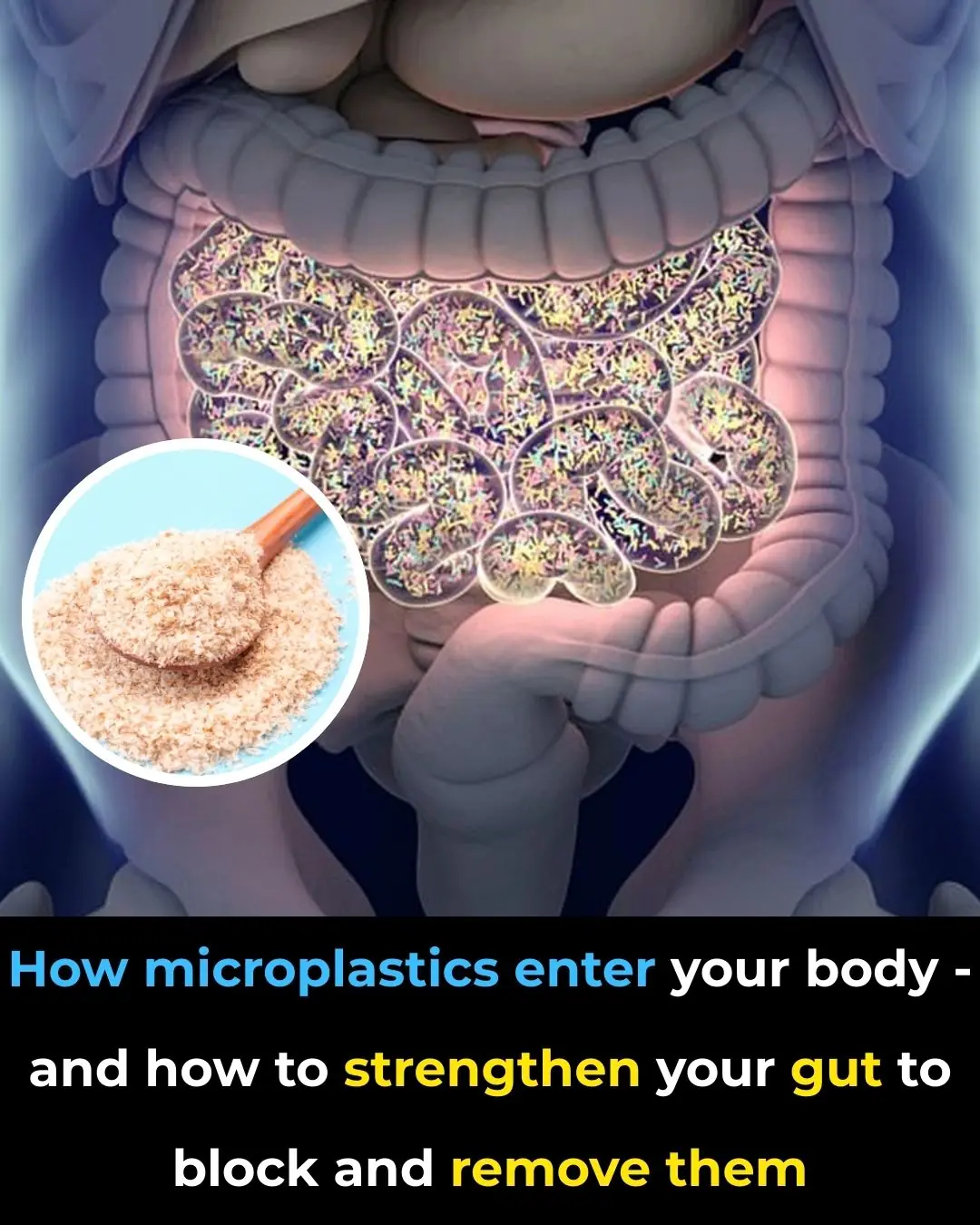 How Microplastics Enter Your Body — And How to Strengthen Your Gut to Block and Remove Them