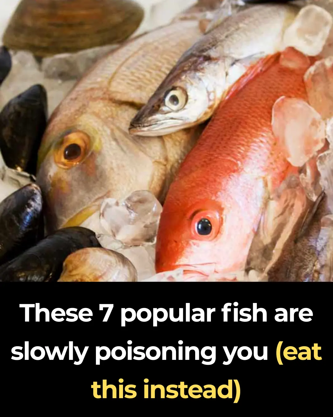 These 7 popular fish are slowly poisoning you (eat this instead)