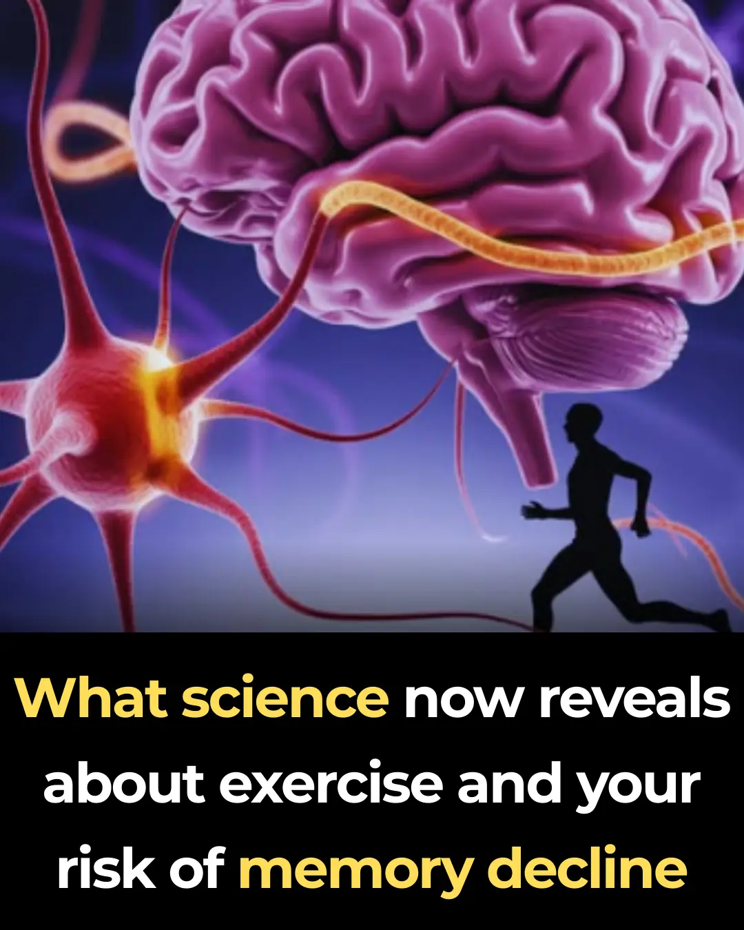 What science now reveals about exercise and your risk of memory decline