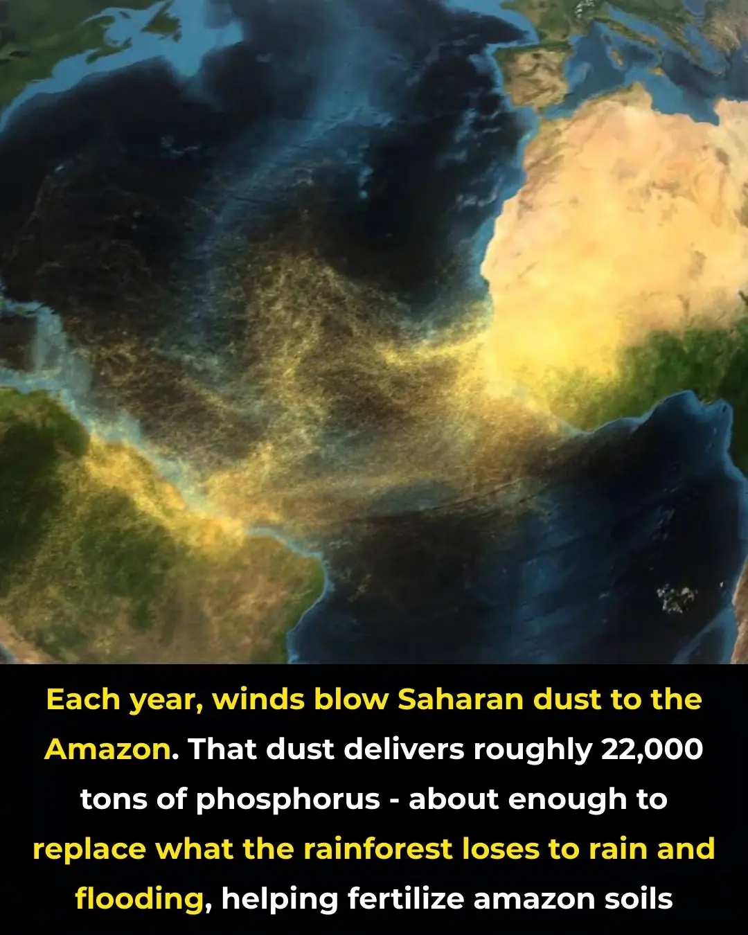 The Sahara Feeds the Amazon — From 5,000 Miles Away