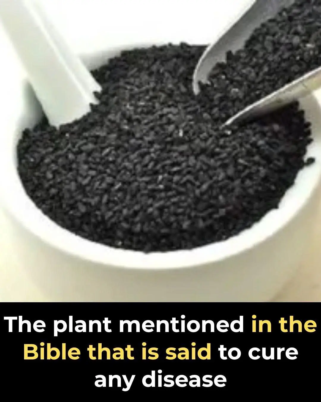 Plant in the Bible Said to Heal All Ailments