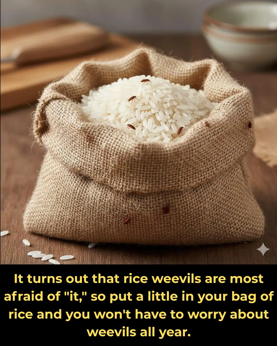 It turns out that rice weevils are most afraid of "it," so put a little in your bag of rice and you won't have to worry about weevils all year.