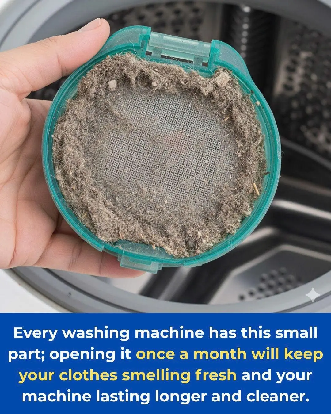 Every washing machine has this small part; opening it once a month will keep your clothes smelling fresh and your machine lasting longer and cleaner.
