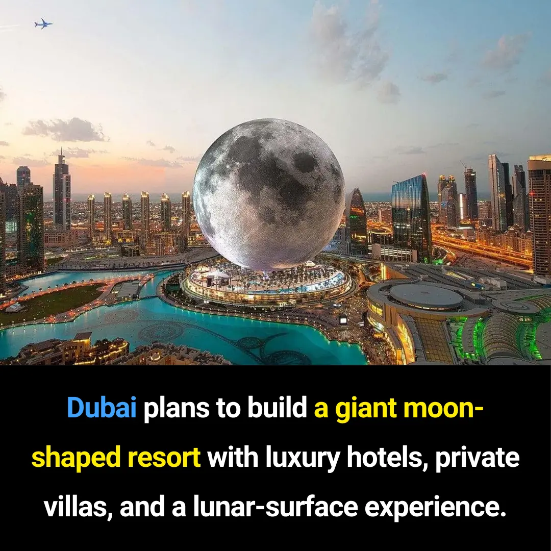Dubai’s Proposed Moon-Shaped Resort: A Futuristic Concept Aiming to Redefine Luxury Travel