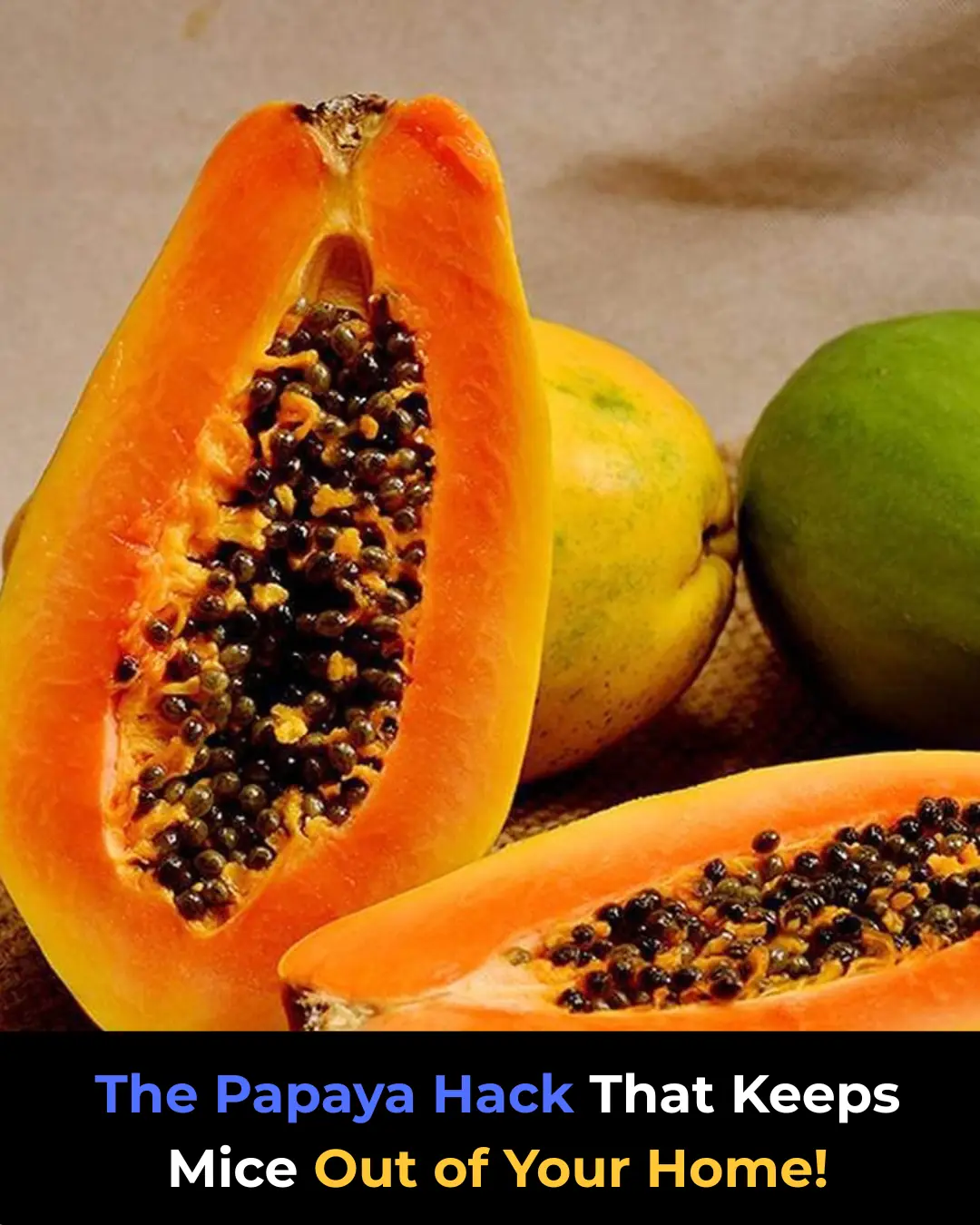 The Papaya Hack That Keeps Mice Out of Your Home!