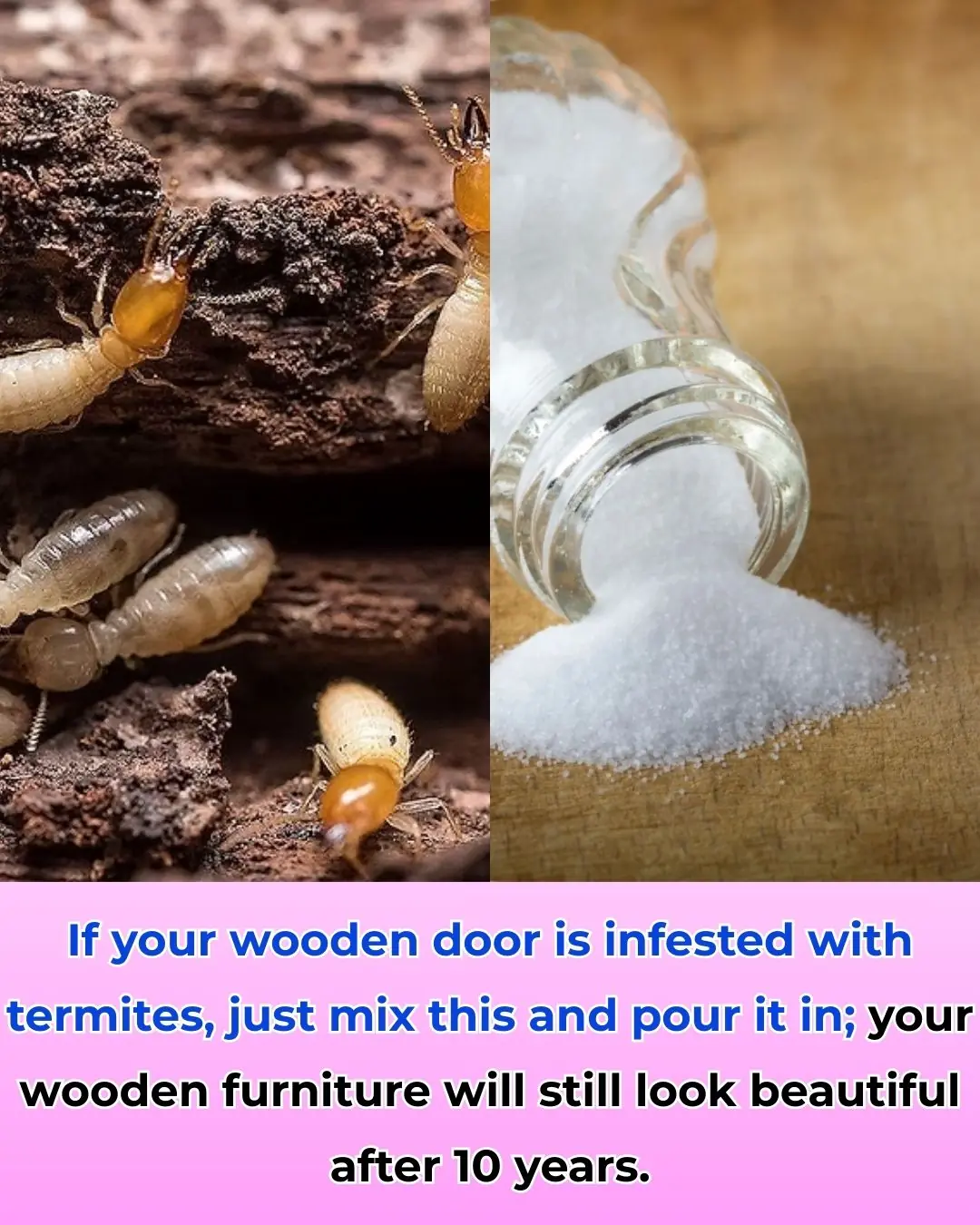 If your wooden door is infested with termites, just mix this and pour it in; your wooden furniture will still look beautiful after 10 years.