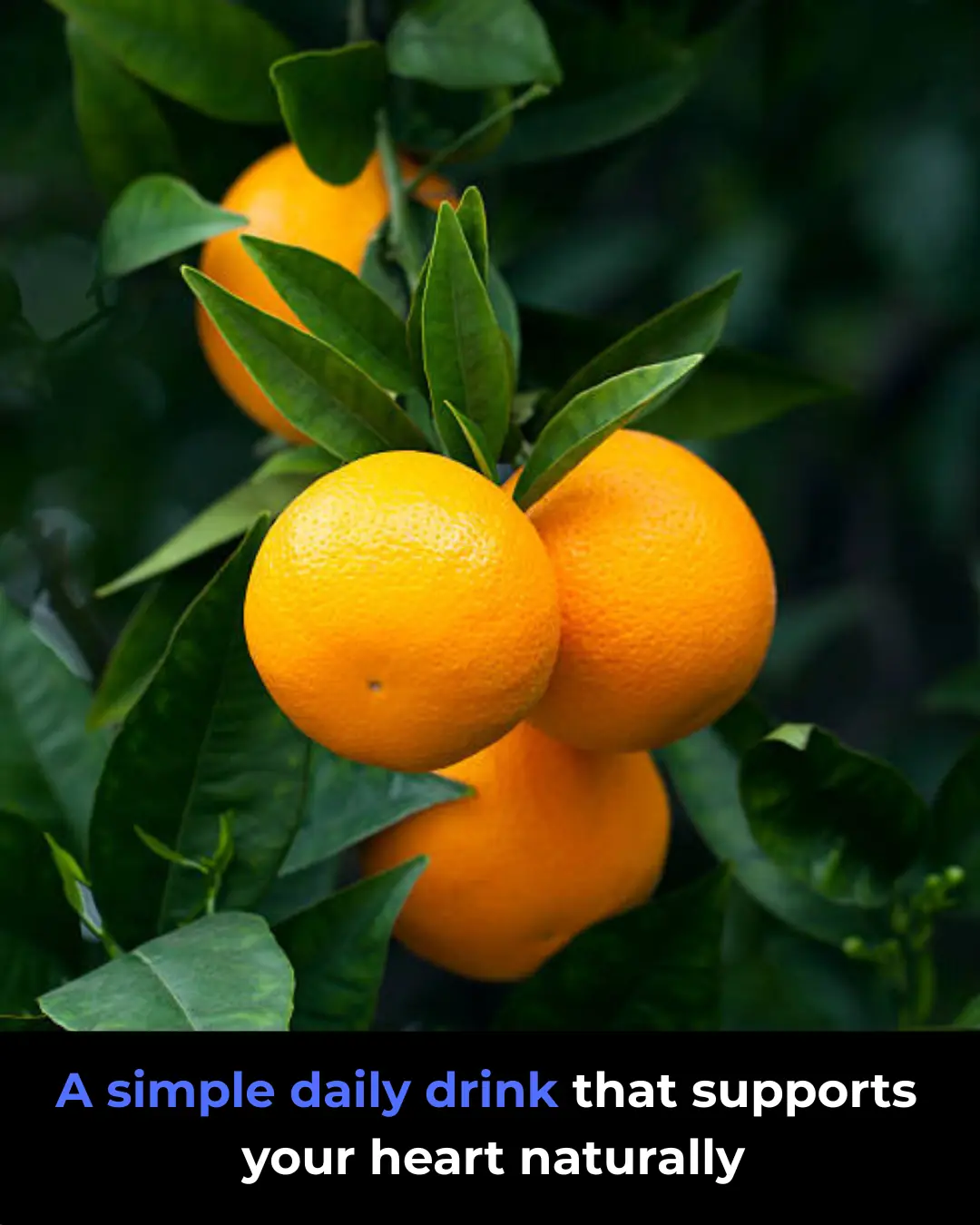 Natural Drink for High Blood Pressure, High Cholesterol, Heart Attacks & More