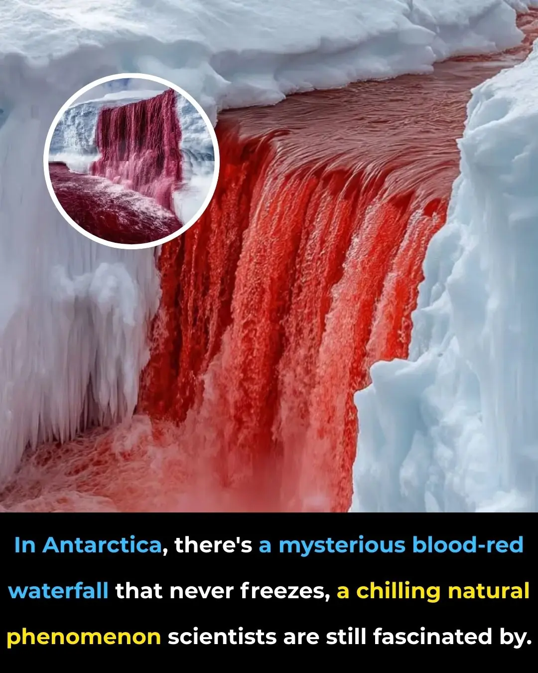 Blood Falls: Antarctica's Mysterious Red Waterfall That Never Freezes
