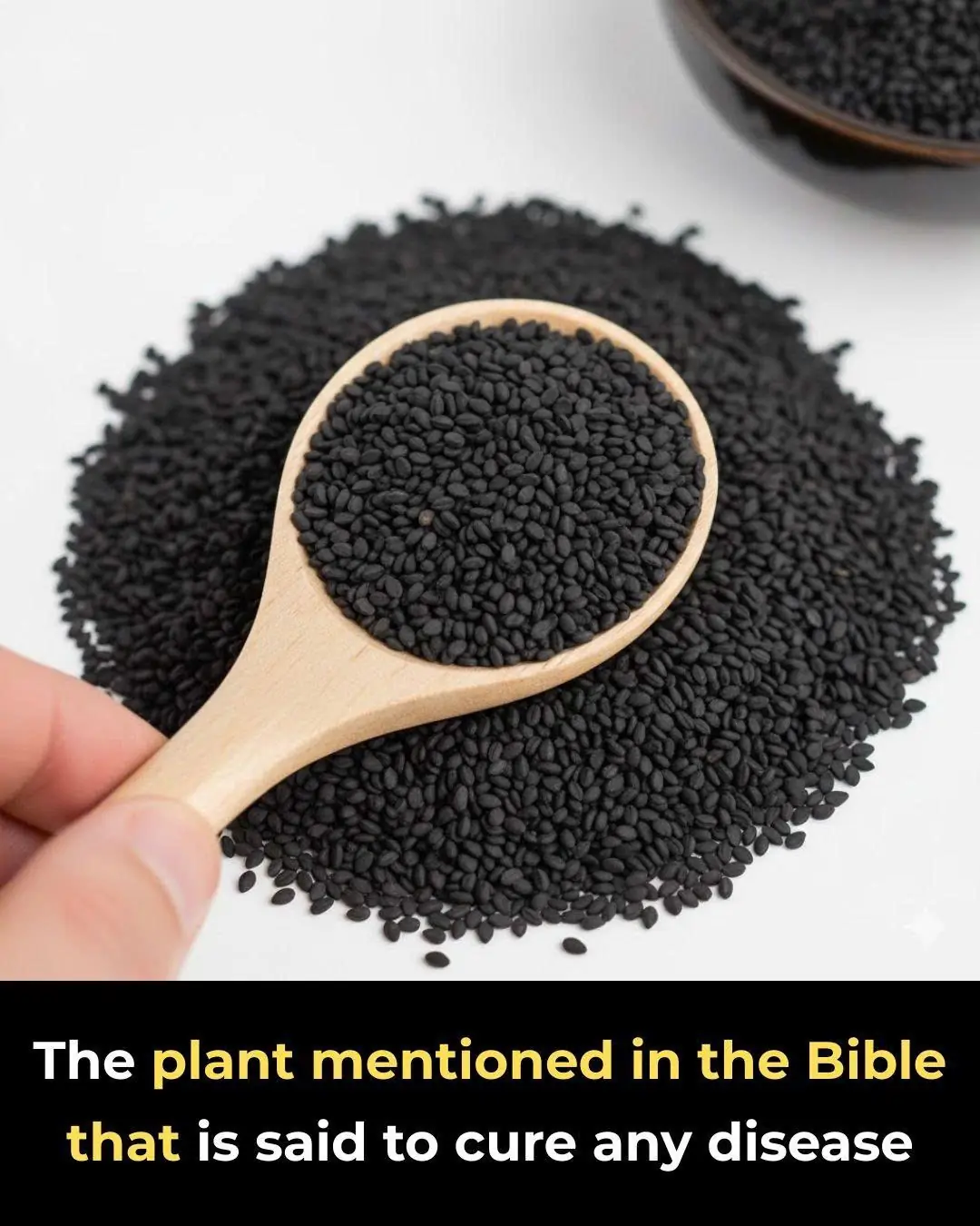 Plant in the Bible Said to Heal All Ailments