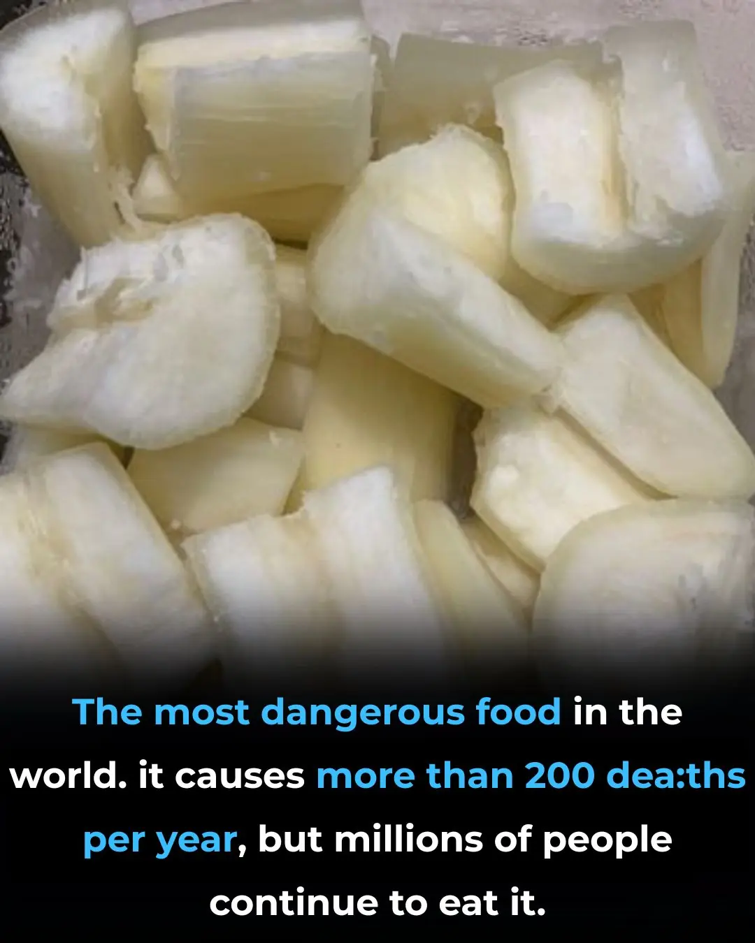 ⚠️ Toxic If Improperly Prepared: The Hidden Risk of Cassava
