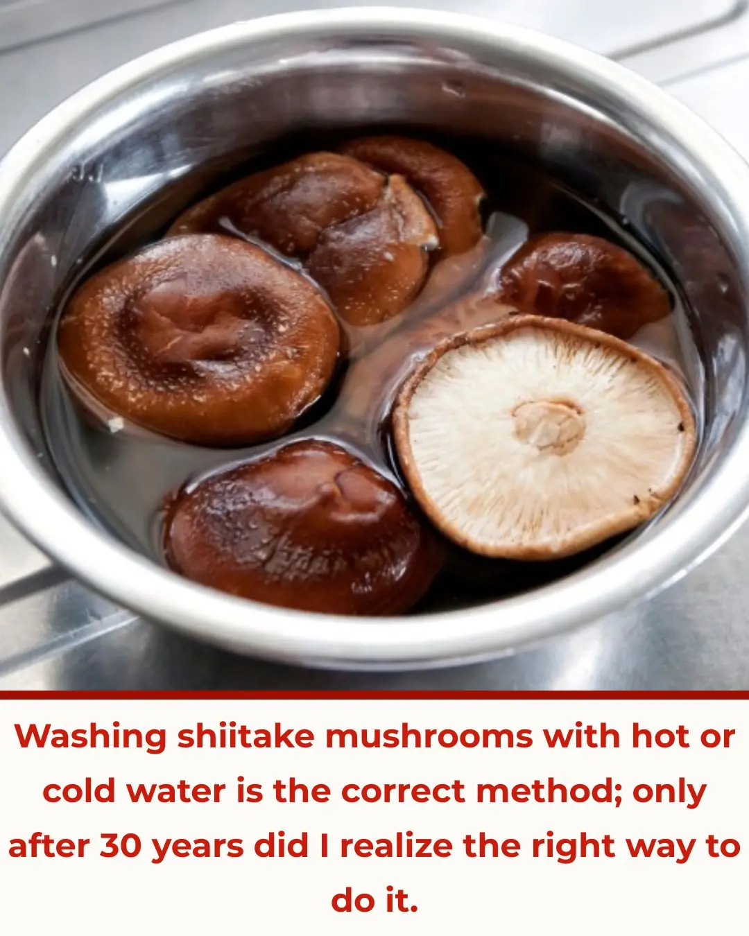 Washing shiitake mushrooms with hot or cold water is the correct method; only after 30 years did I realize the right way to do it.