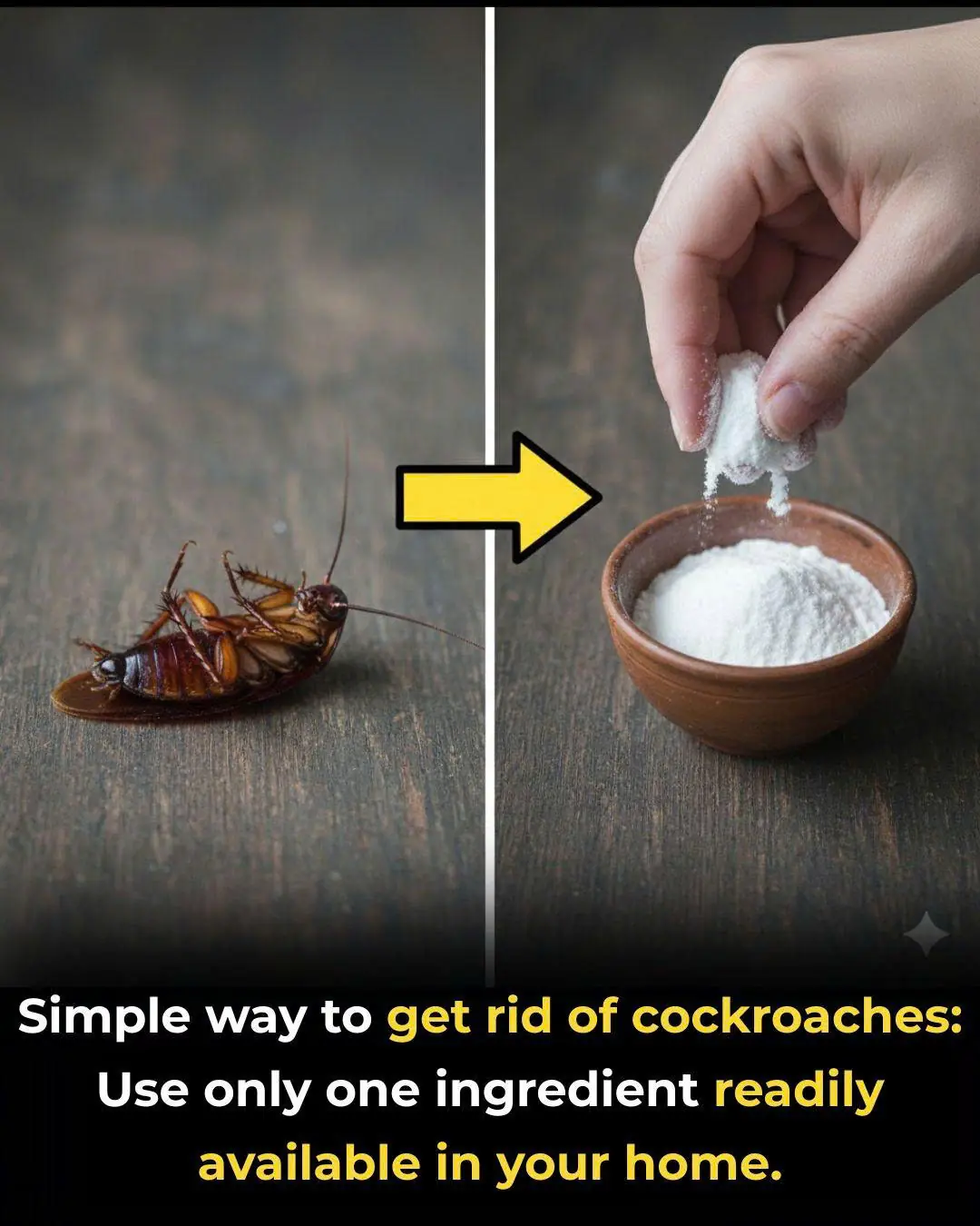 Simple way to get rid of cockroaches: Use only one ingredient readily available in your home.