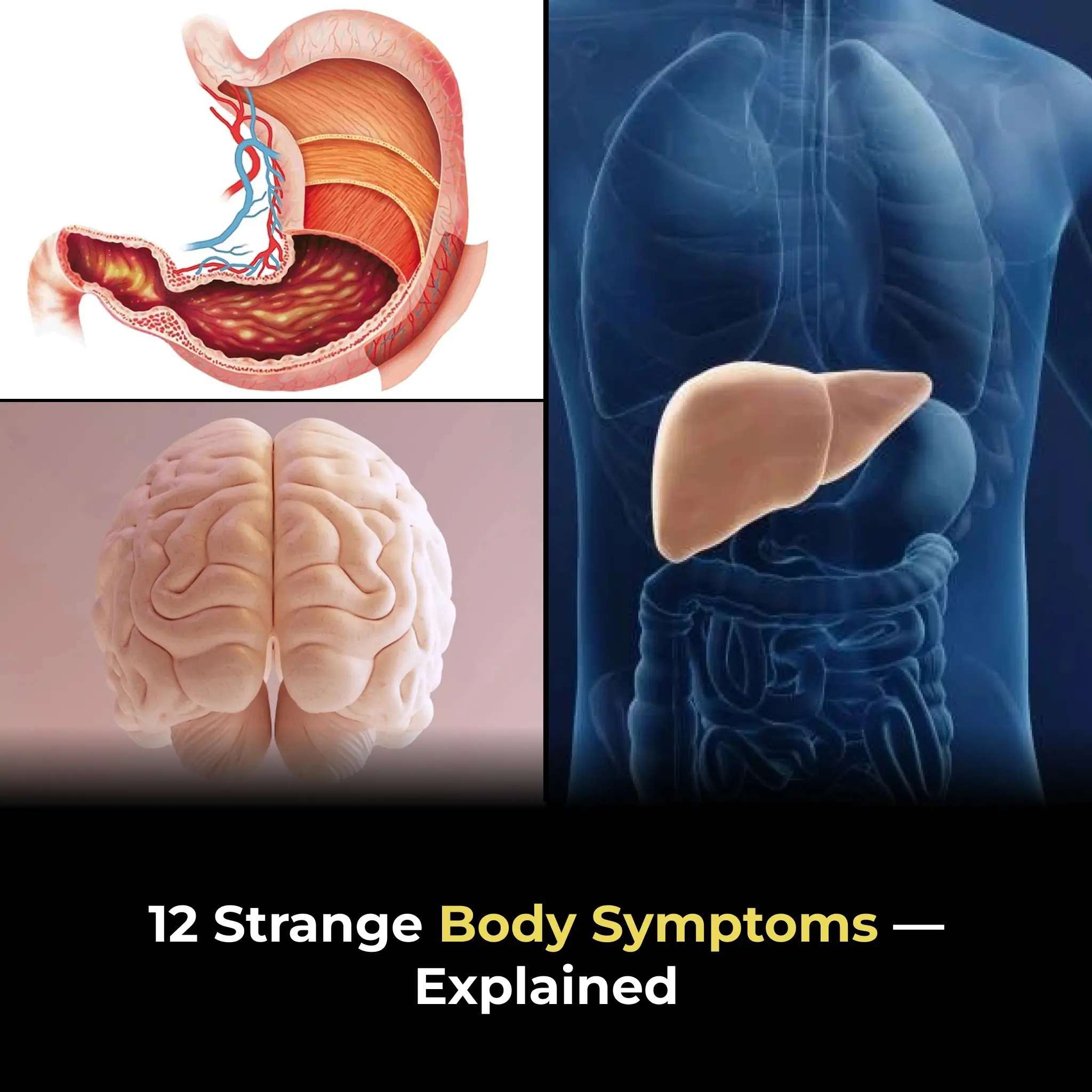 12 Uncommon Body Symptoms Explained: What They Could Mean for Your Health