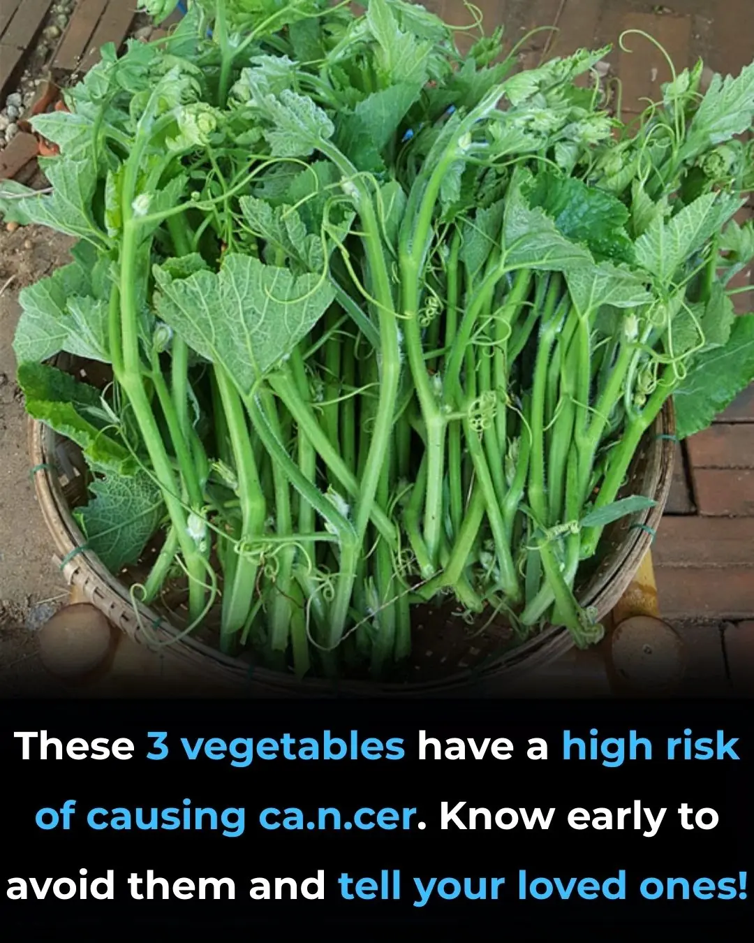 🥦 3 Vegetables That Support Cancer Prevention — Backed by Science