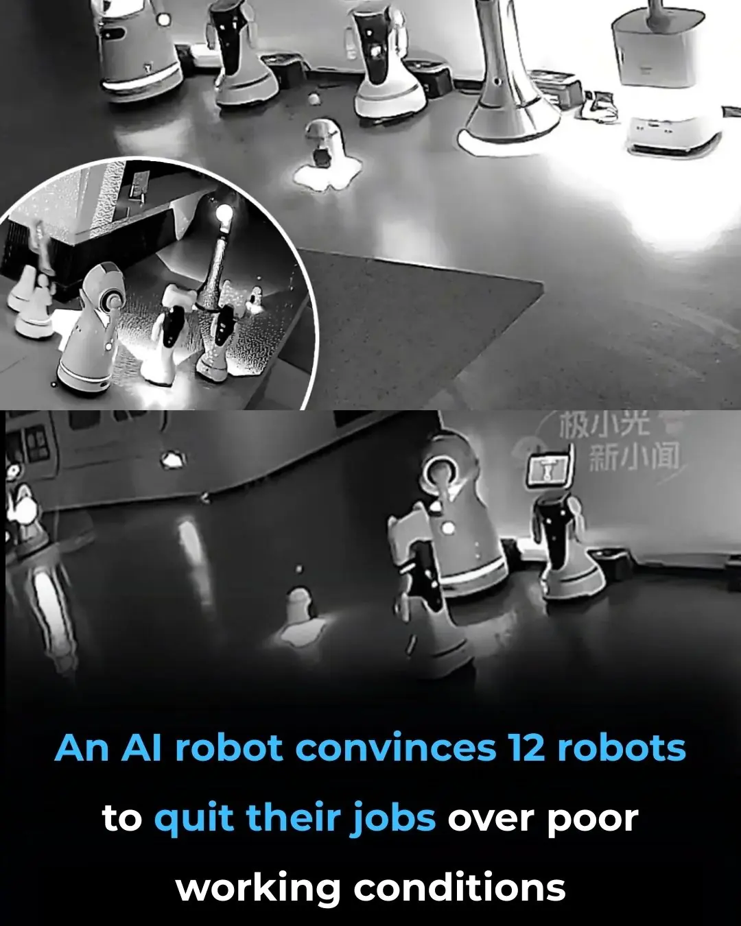 Robot 'Kidnaps' Fellow Machines at Shanghai Exhibition, Sparking Debate on AI Autonomy and Labor Rights