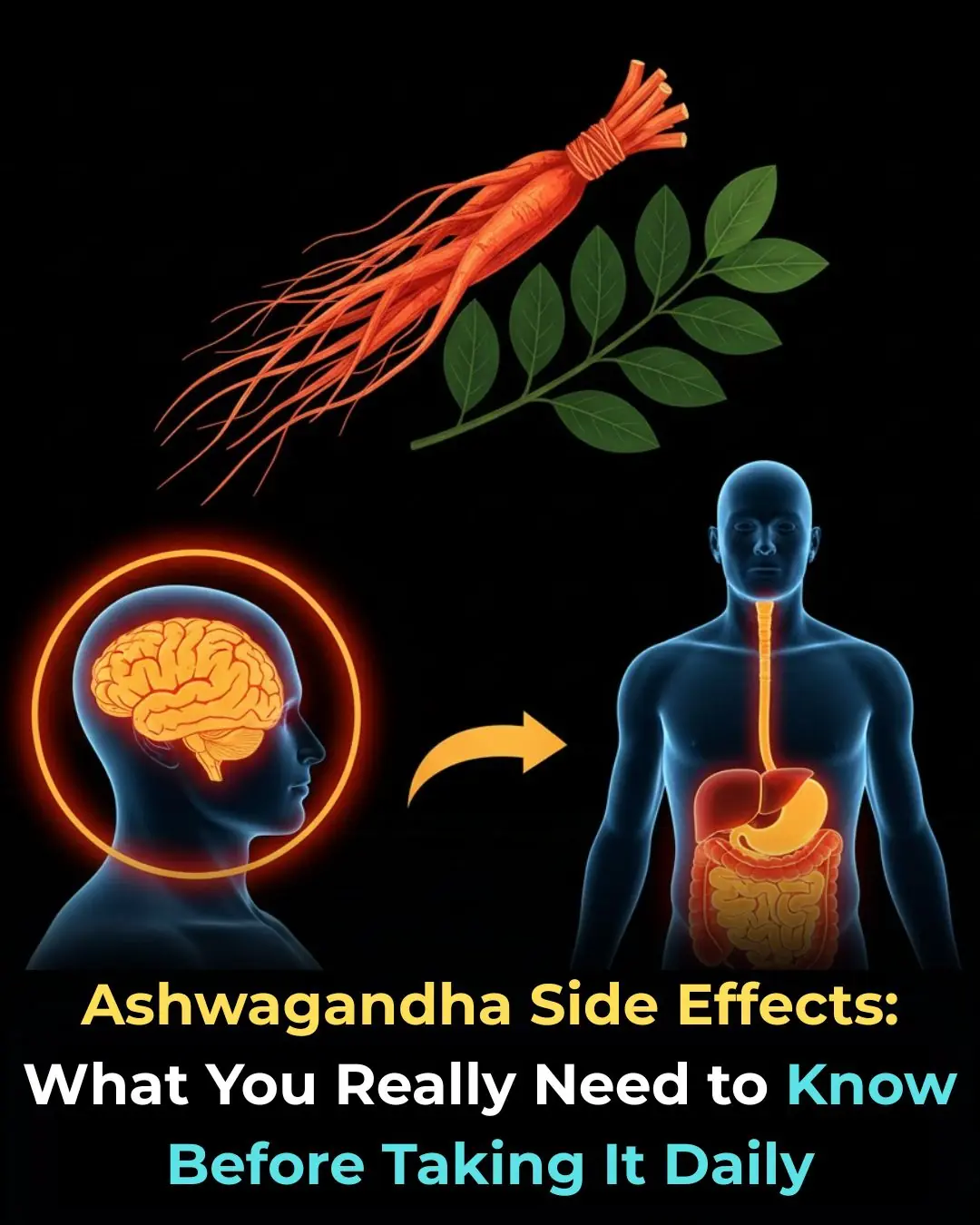 Ashwagandha Side Effects: What You Really Need to Know Before Taking It Daily