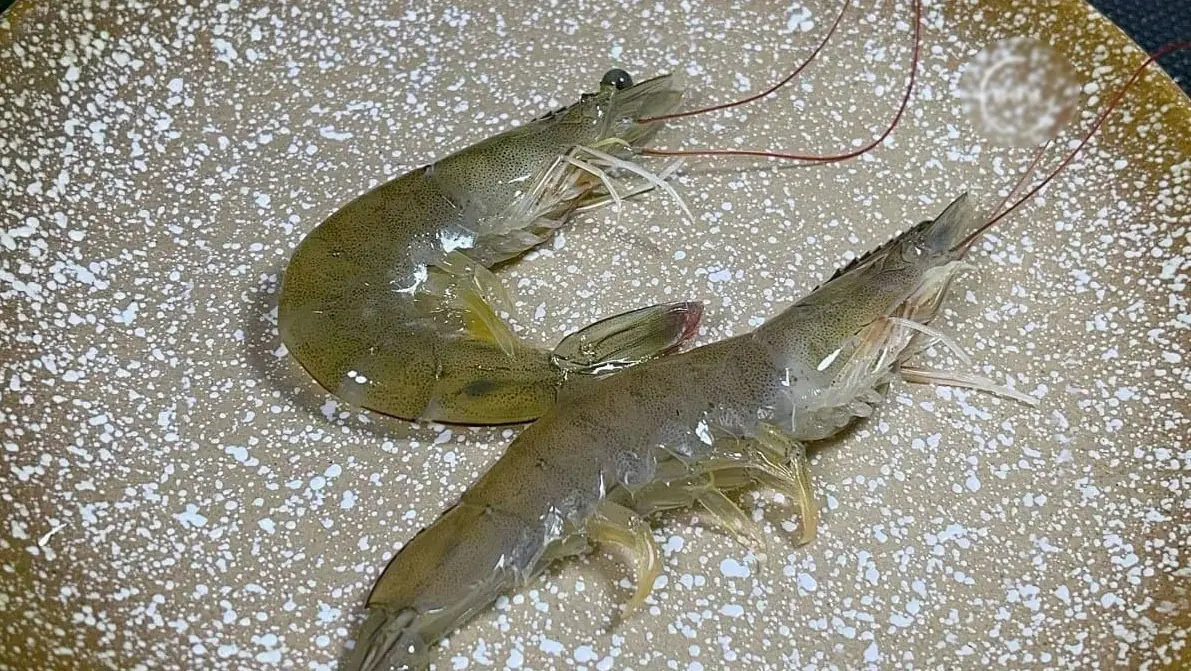 Should you choose “straight shrimp” or “curved shrimp” at the market? The difference is huge, but few people know…