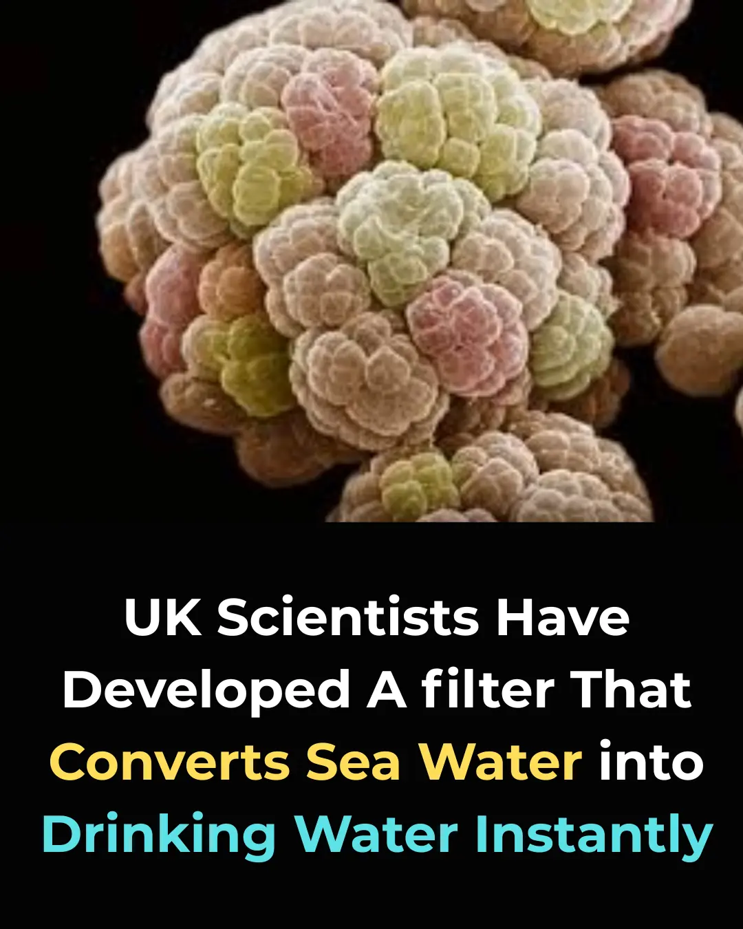 Revolutionary Graphene Filter Instantly Turns Seawater Into Drinkable Water—A Game-Changer for Global Water Shortages!