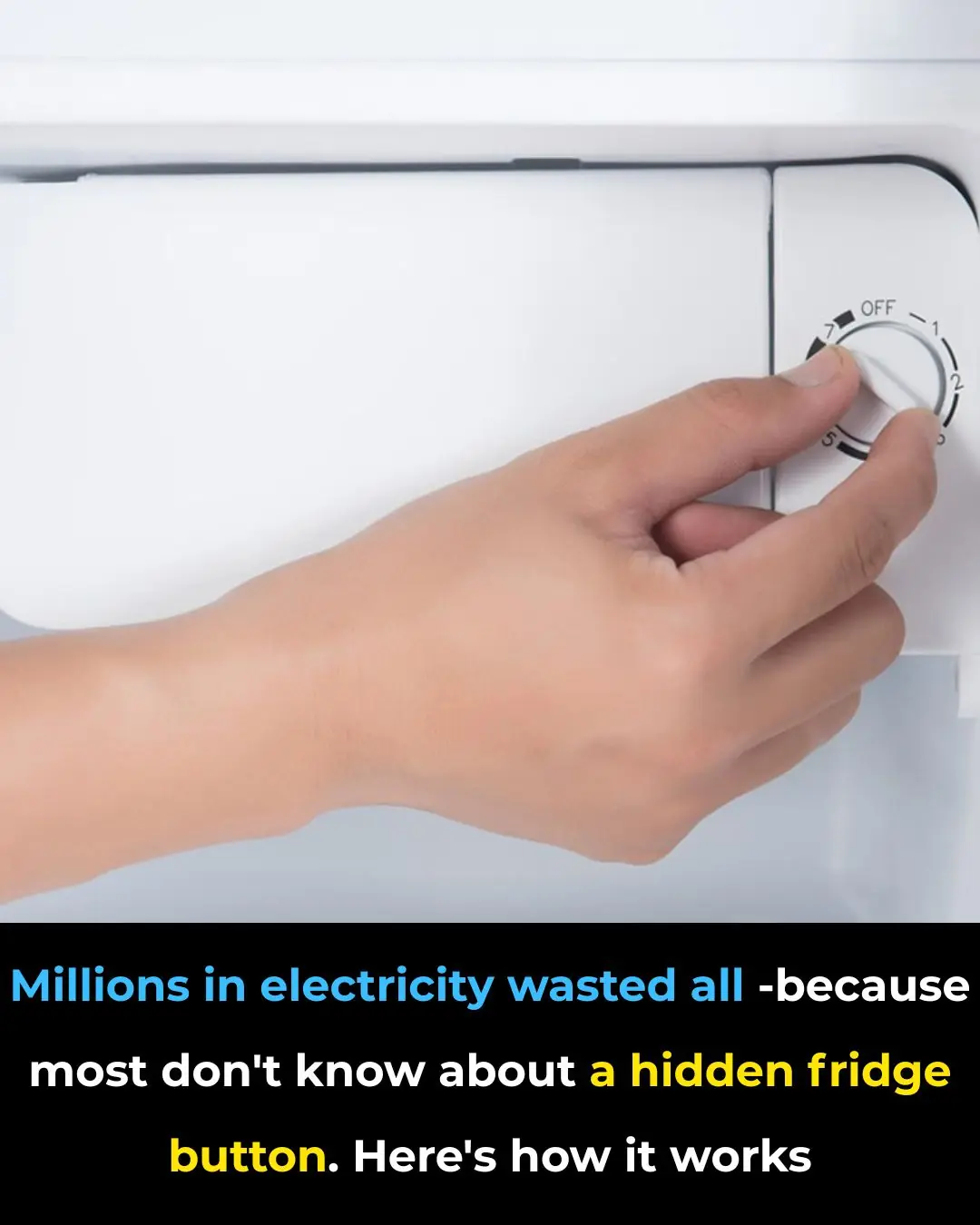 I Had No Clue About This Hidden Fridge Button — It Could Be Wasting You Serious Money