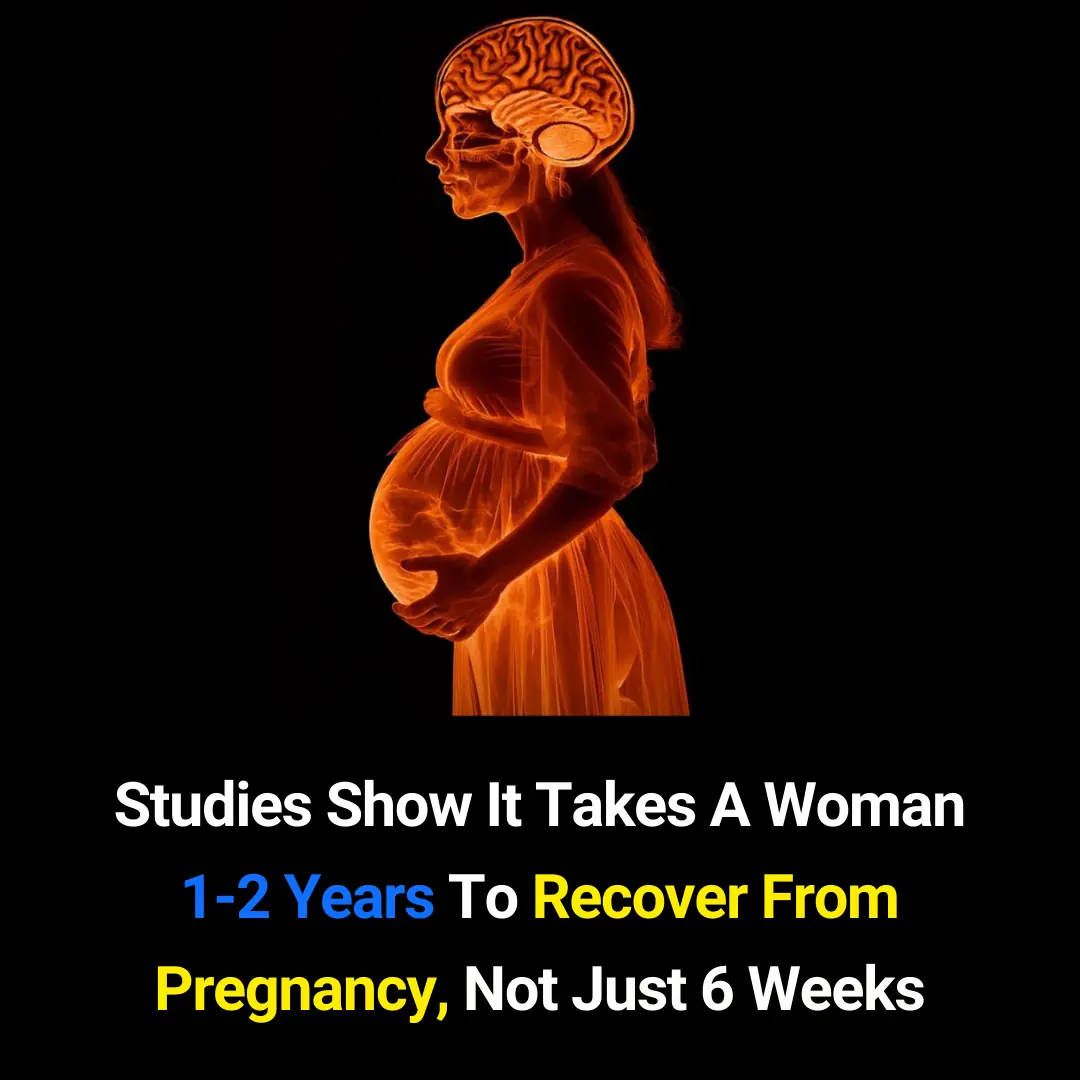 It Takes 1–2 Years for a Woman’s Body to Fully Recover After Pregnancy — Not Just 6 Weeks