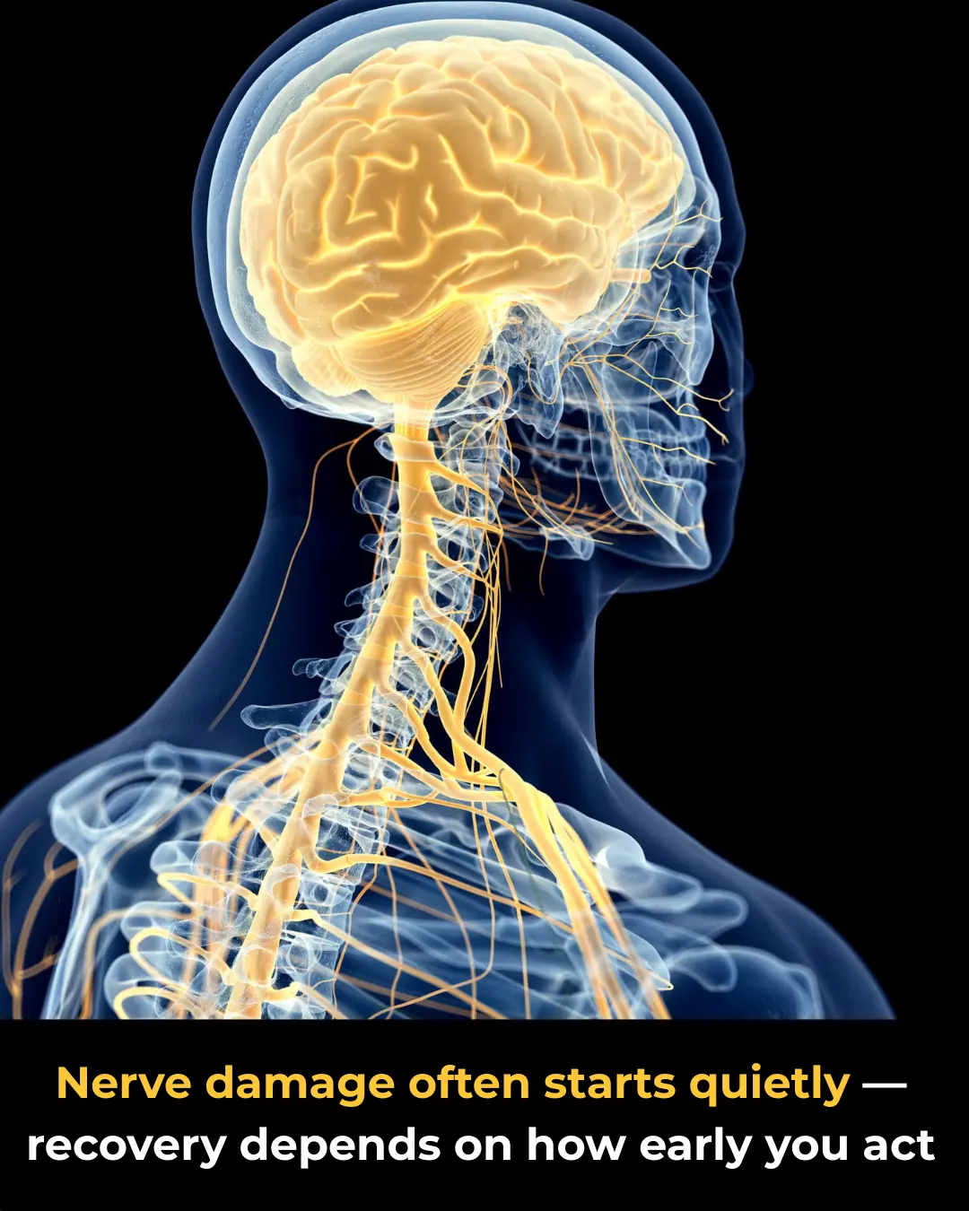 Nerve Damage: Common Causes and Recovery Tips