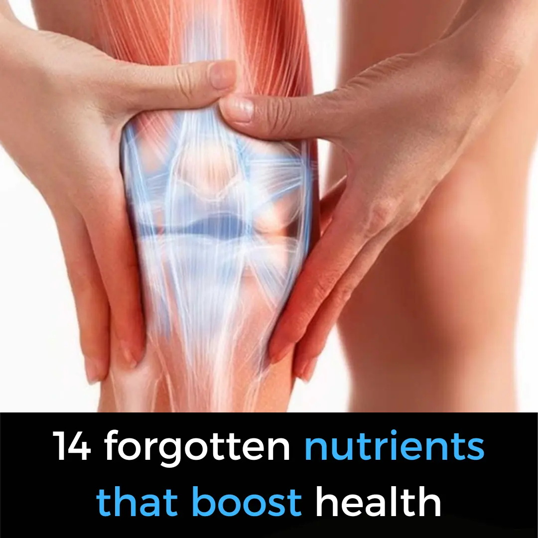 The Hidden Power of Nutrition: 14 Overlooked Nutrients That Transform Health