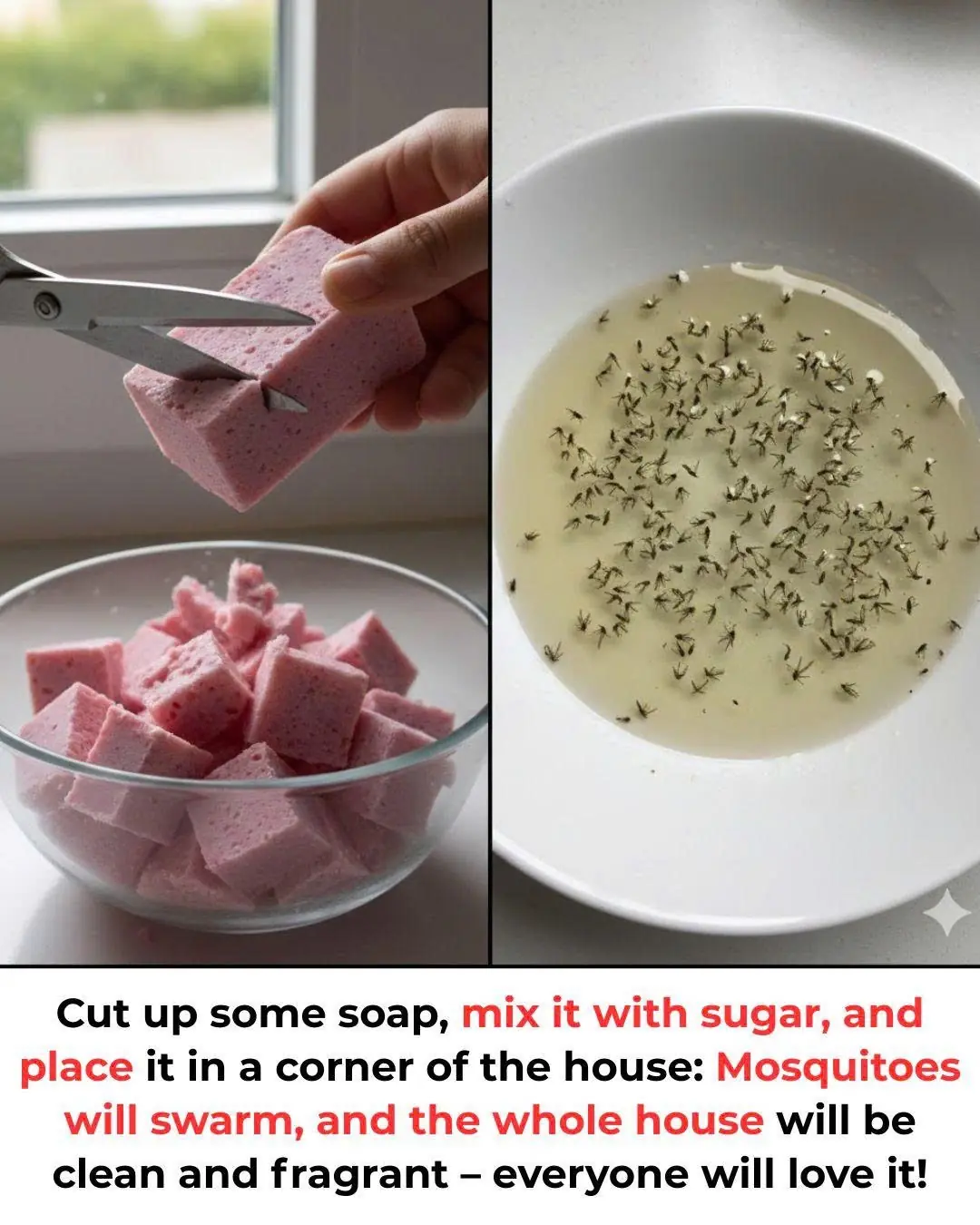 Cut up some soap, mix it with sugar, and place it in a corner of the house: Mosquitoes will swarm, and the whole house will be clean and fragrant – everyone will love it!
