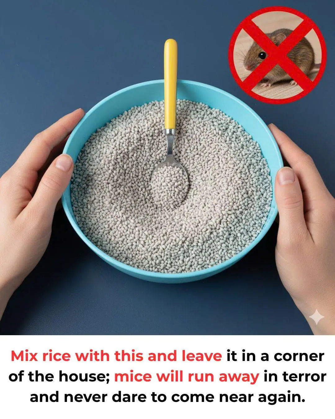 Mix rice with this and leave it in a corner of the house; mice will run away in terror and never dare to come near again.