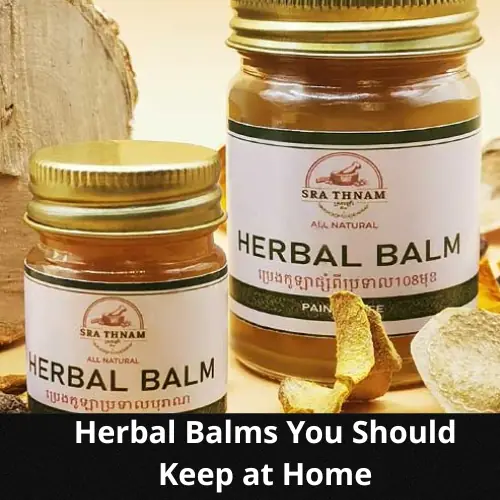 Herbal Balms You Should Keep at Home: Traditional Uses and Scientific Perspectives