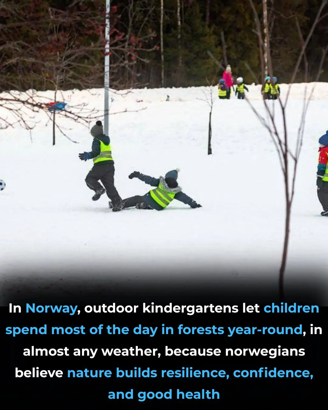 Norway’s Unique Approach to Raising Confident and Healthy Children: A Deep Connection with Nature