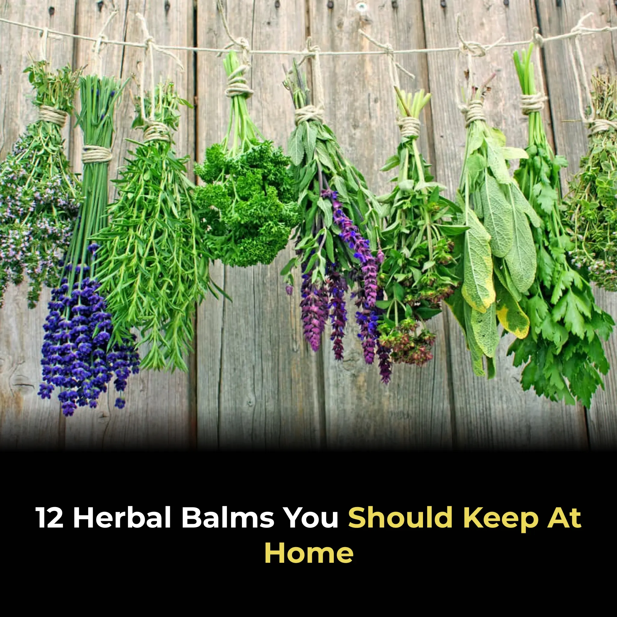 12 Herbal Balms You Should Keep at Home