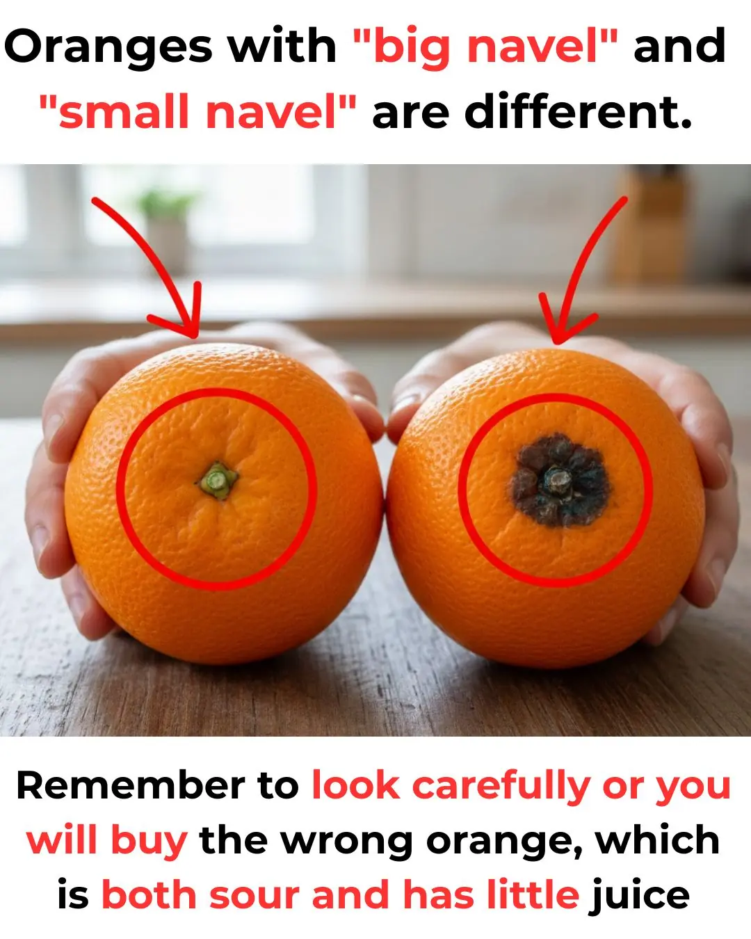 Large Navel Oranges vs Small Navel Oranges