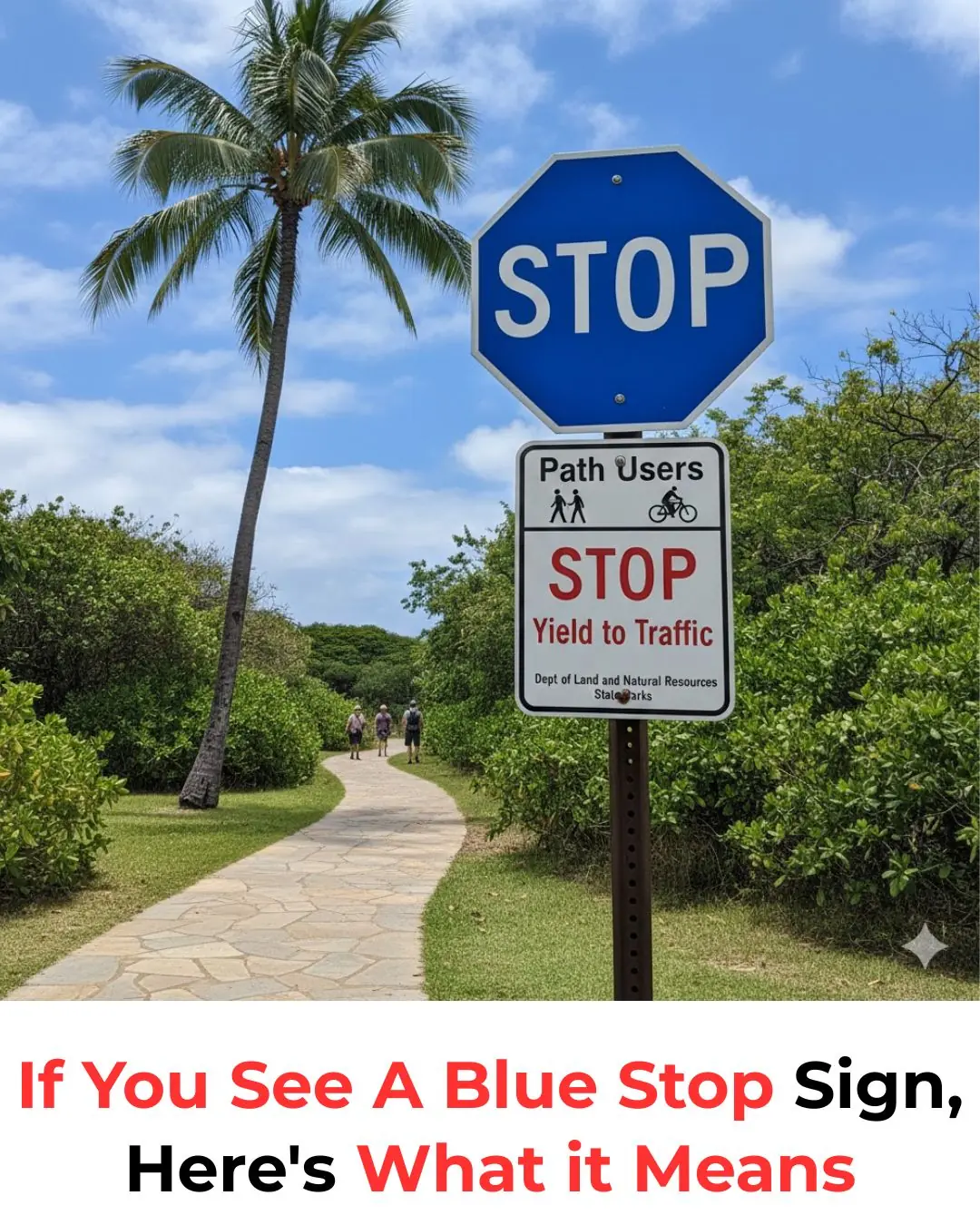 The Mystery of the Blue Stop Sign