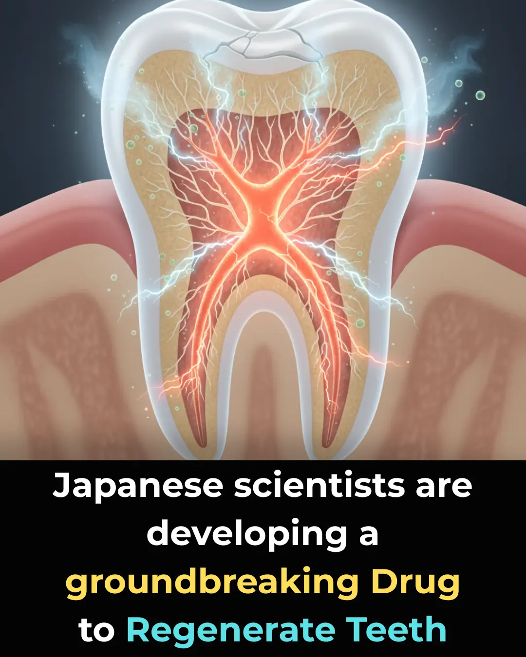 Revolutionary Drug Could Regrow Your Teeth Naturally – Japan’s World-First Clinical Trial