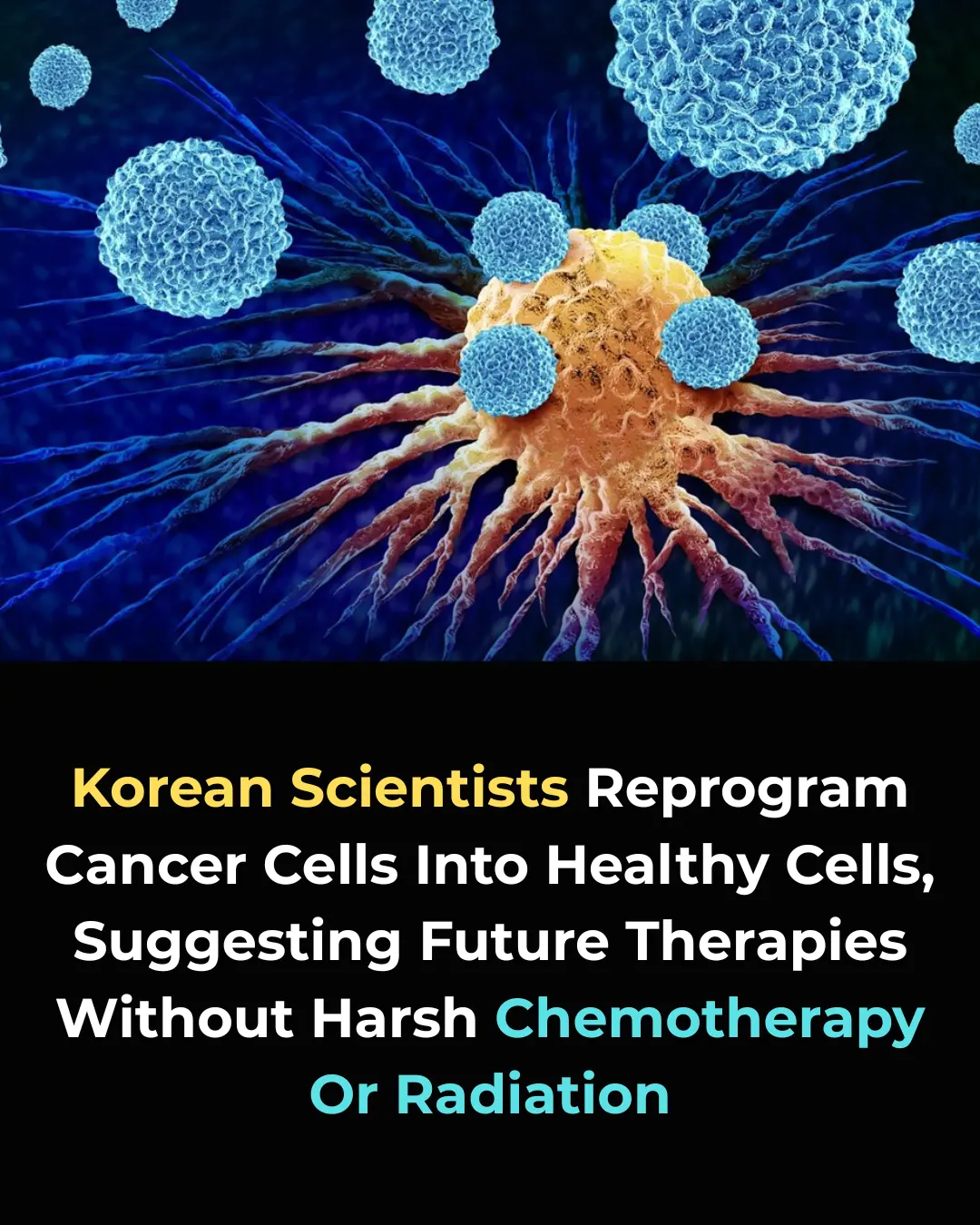 Revolutionary Discovery: South Korean Scientists Turn Cancer Cells into Healthy Tissue—No Chemotherapy Needed