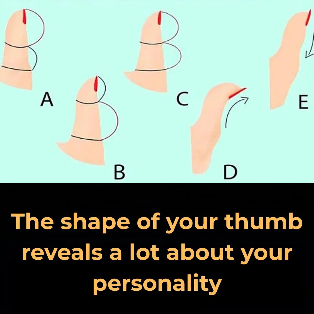 The Secrets Your Thumb Shape Reveals