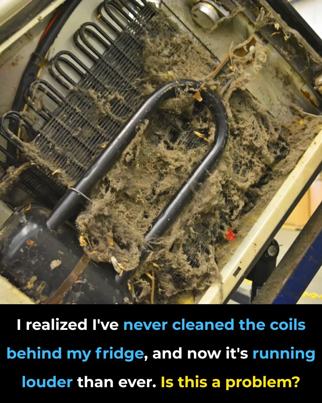 Is Your Refrigerator Too Loud? Why Dirty Condenser Coils Could Be the Reason—and What You Should Do