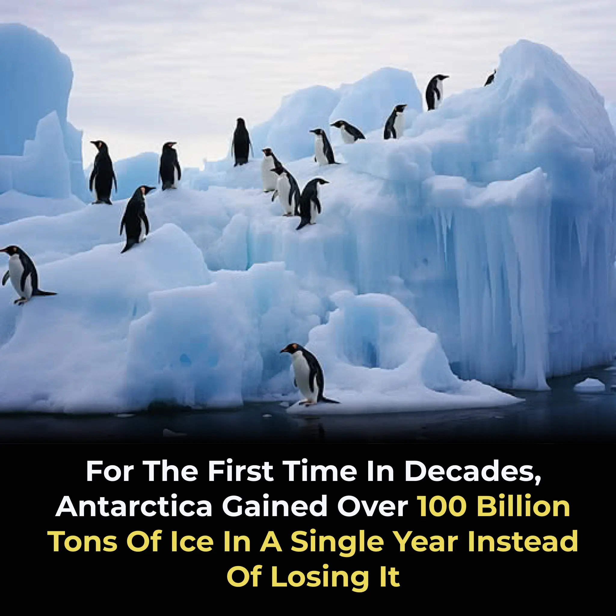 For The First Time In Decades, Antarctica Gained Over 100 Billion Tons Of Ice In A Single Year Instead Of Losing It