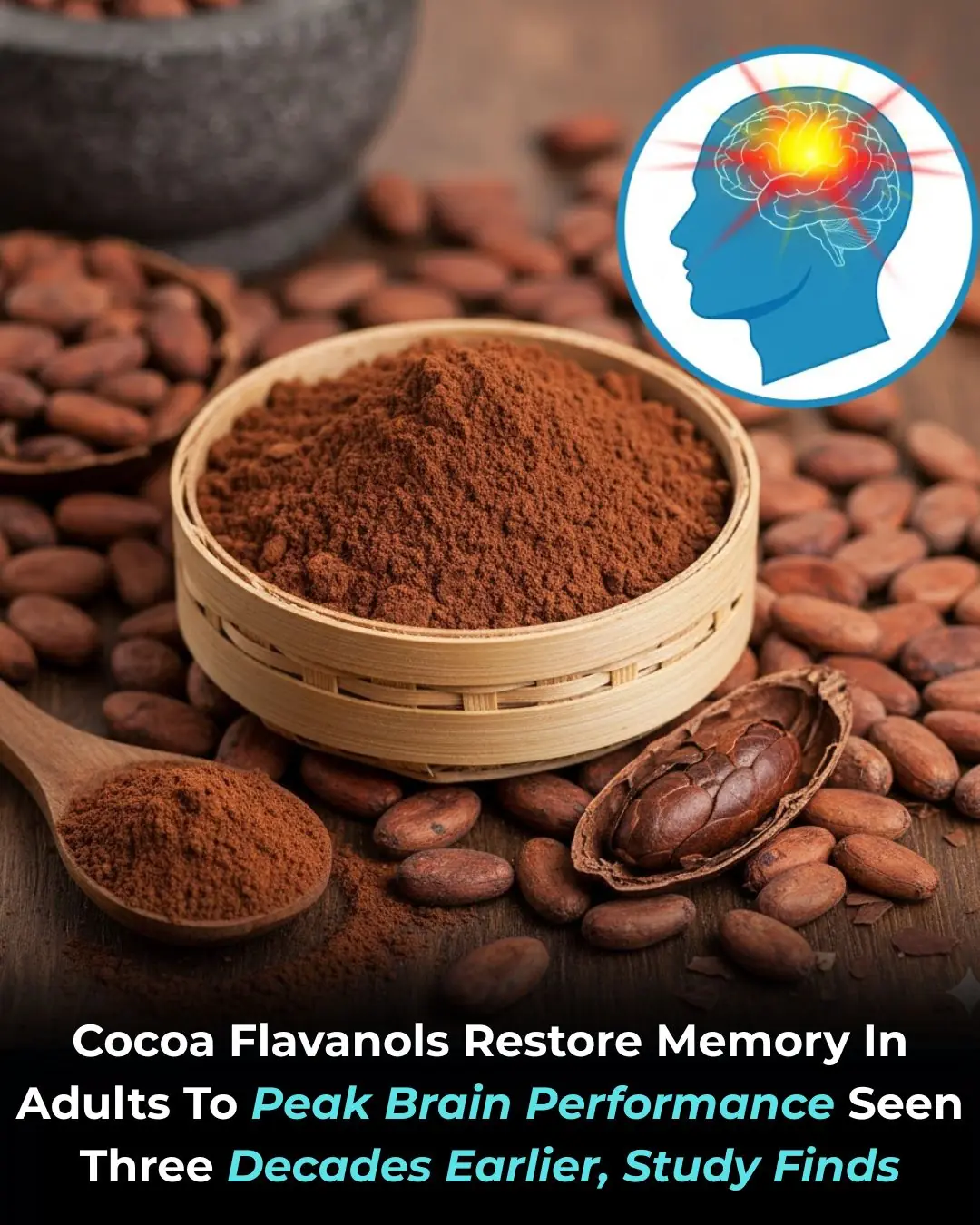 A Chocolate Compound May Help the Brain Reclaim Its Youth