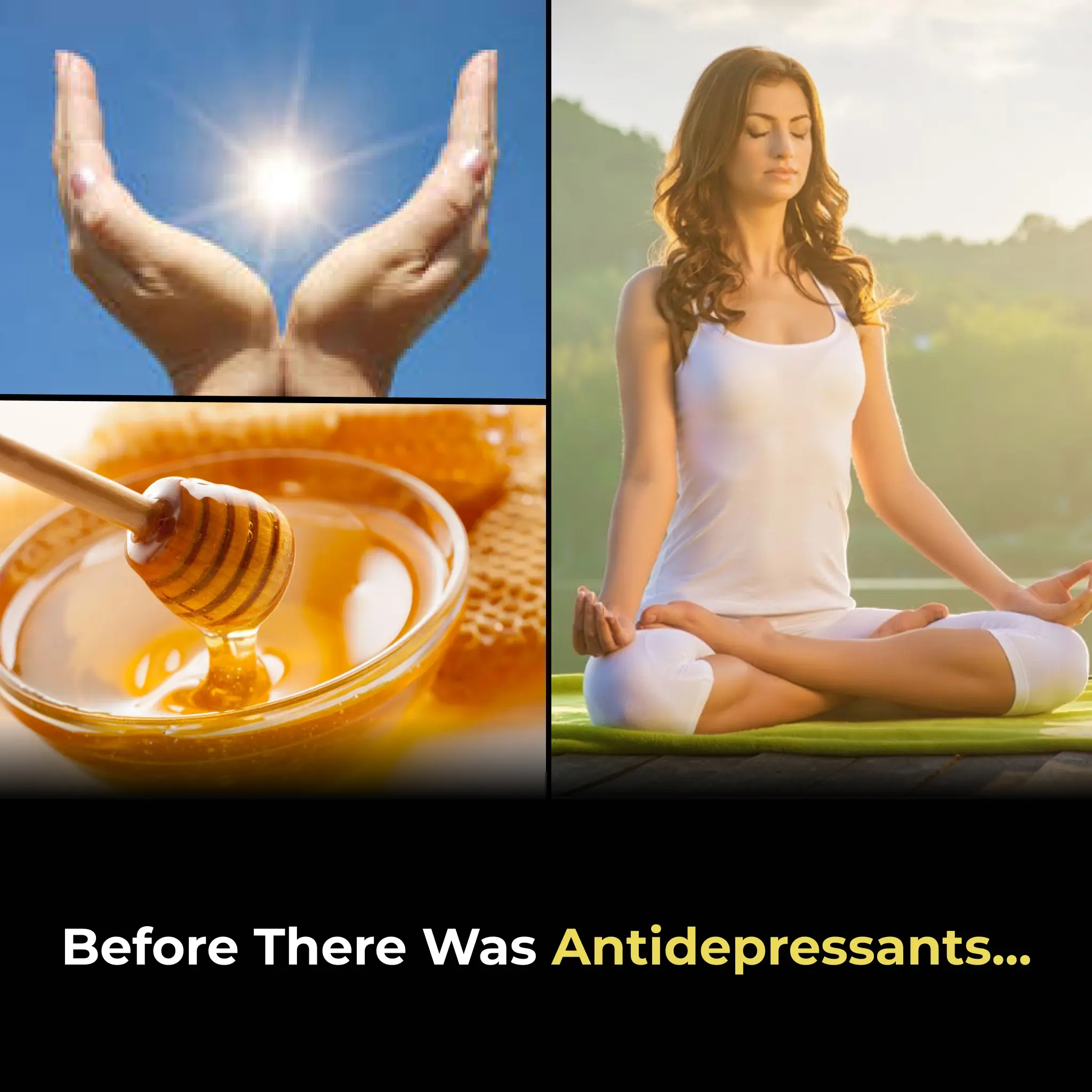 The Natural Remedies That Preceded Modern Medications