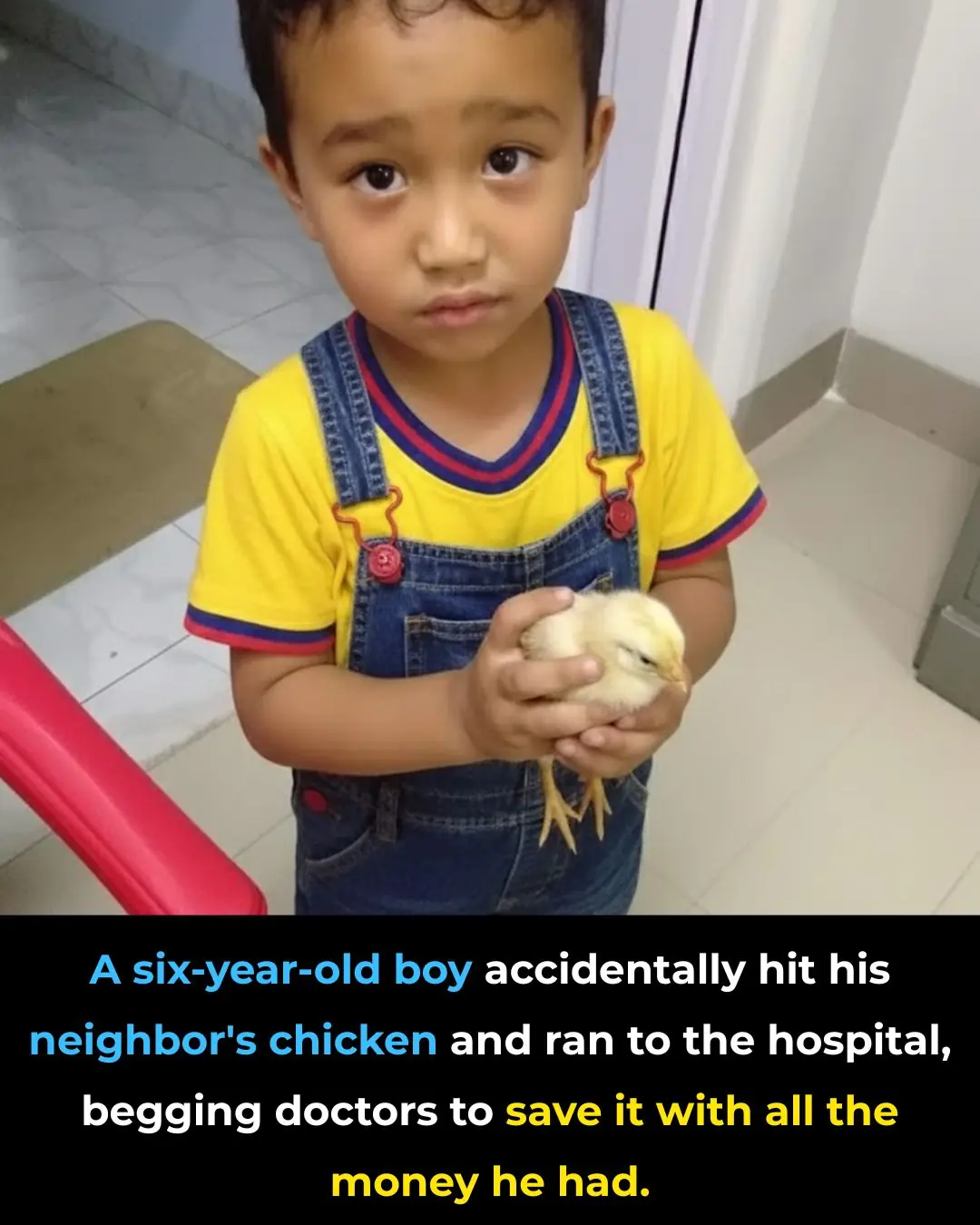 Six-Year-Old Boy from Mizoram Shows Pure Compassion by Saving Injured Chick