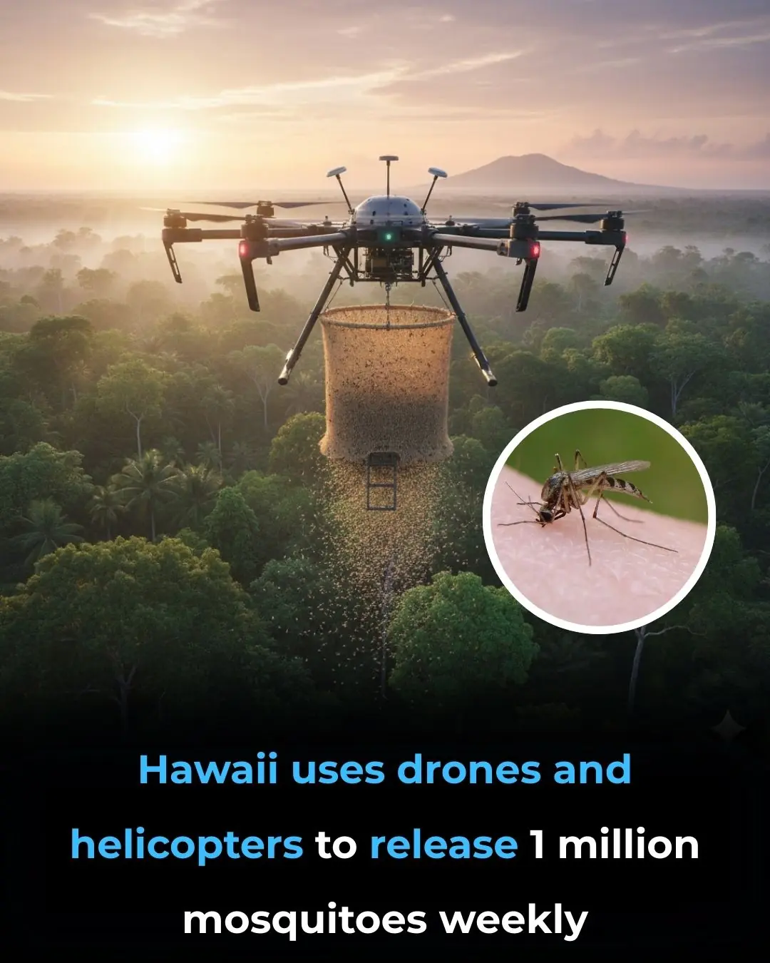 Hawaii’s Million Mosquitoes a Week: A Bold Move to Save Endangered Birds