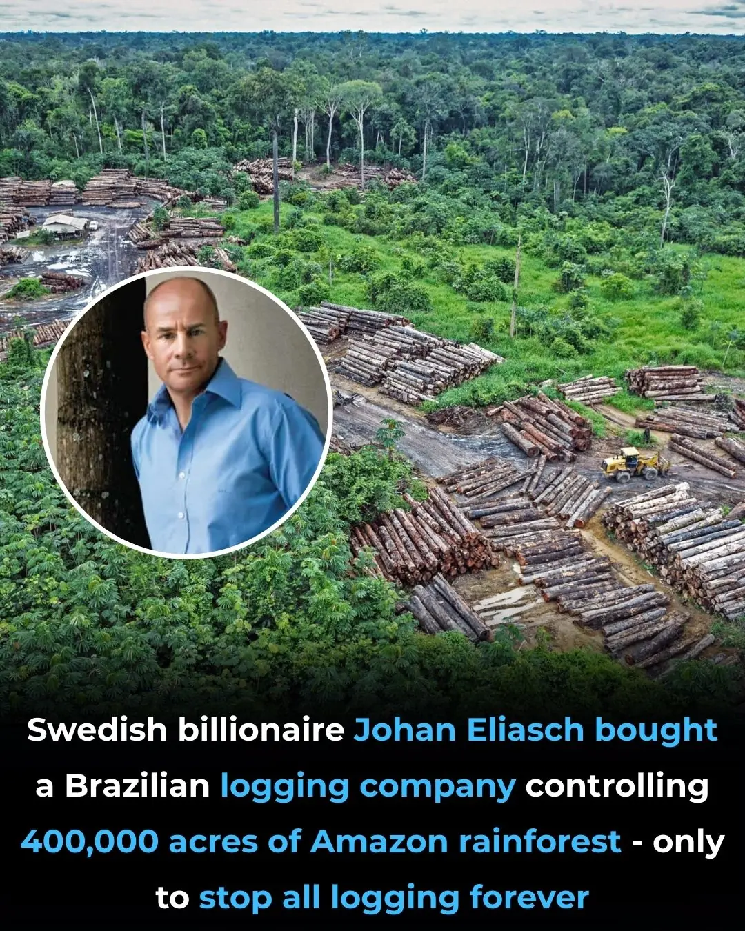 Swedish Billionaire Buys Logging Company to Save Amazon Rainforest