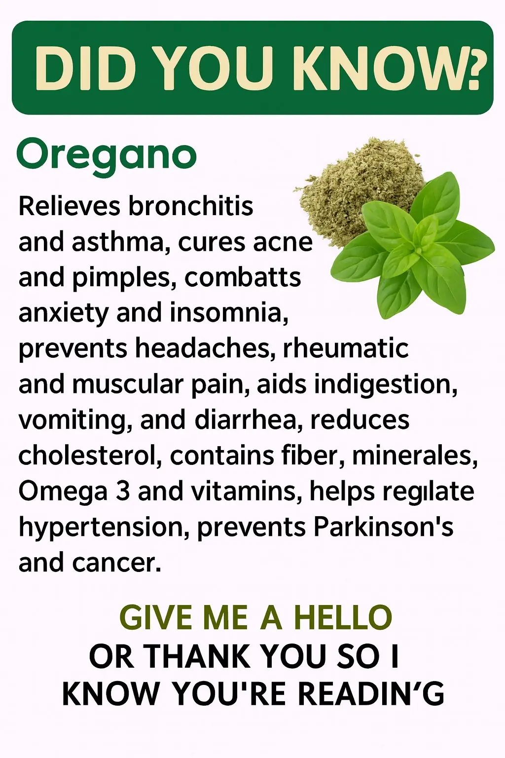 Oregano: The Small Plant with Big Health Benefits