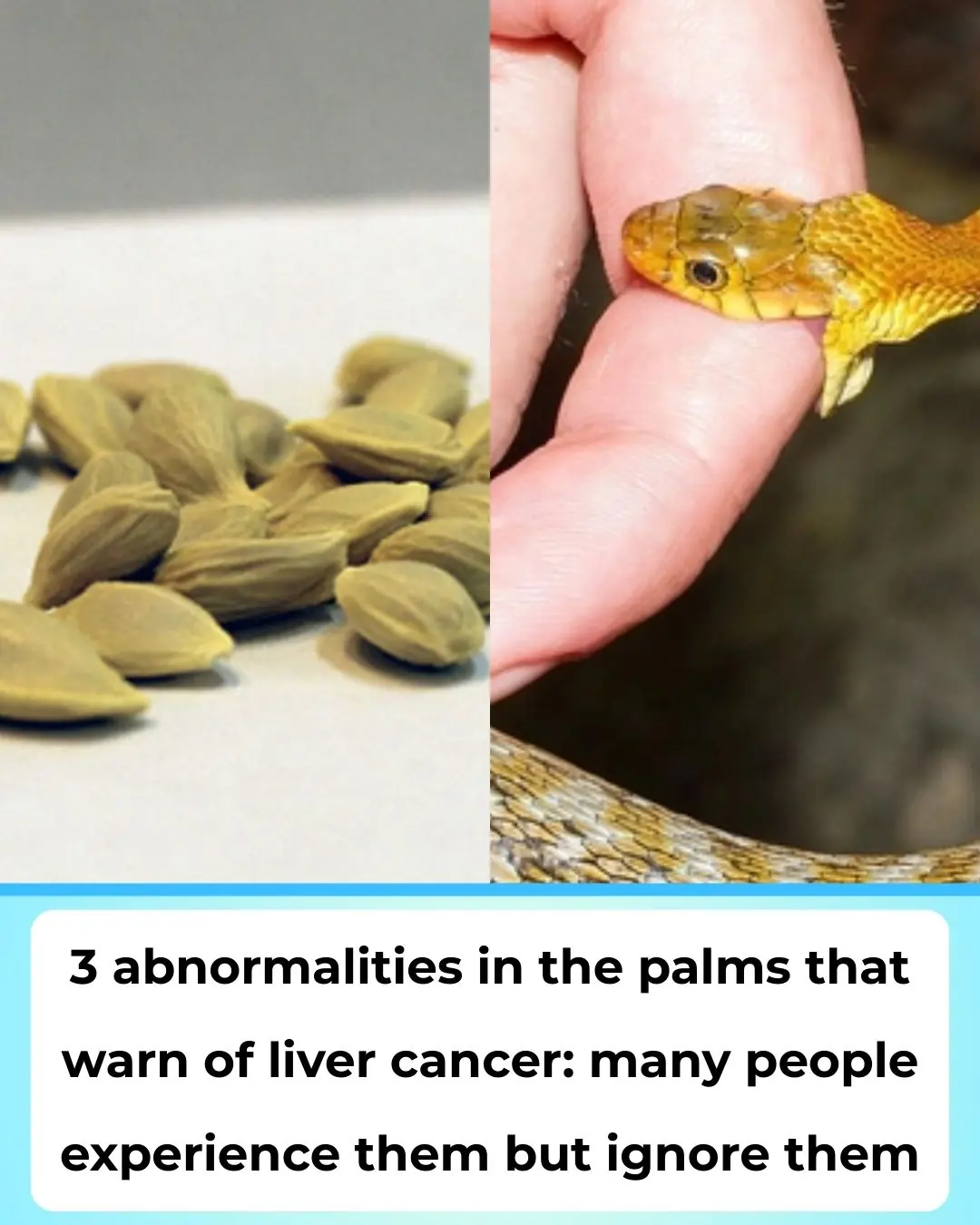 Can Lemon Seeds “Save” Someone from a Snake Bite in 1 Minute? What Science Really Says