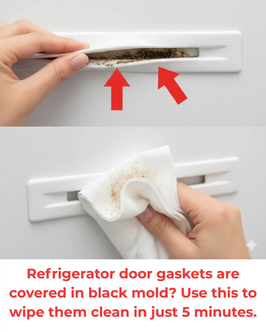 Refrigerator door gaskets are covered in black mold? Use this to wipe them clean in just 5 minutes.