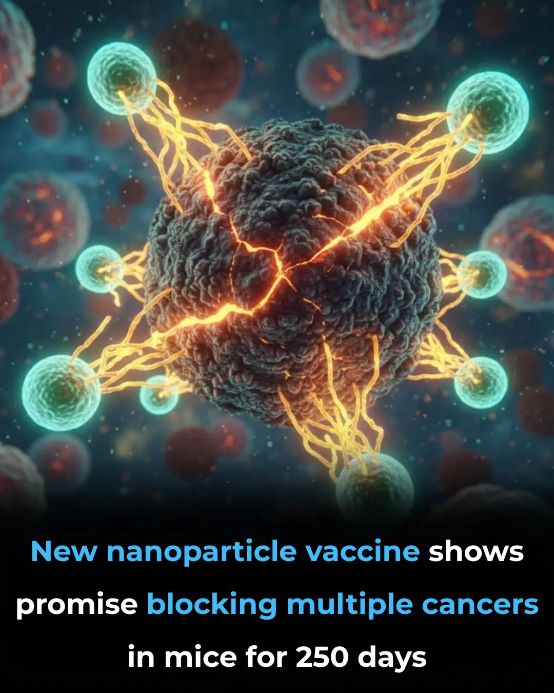 A New Cancer Vaccine Shows Long-Lasting Protection in Preclinical Studies