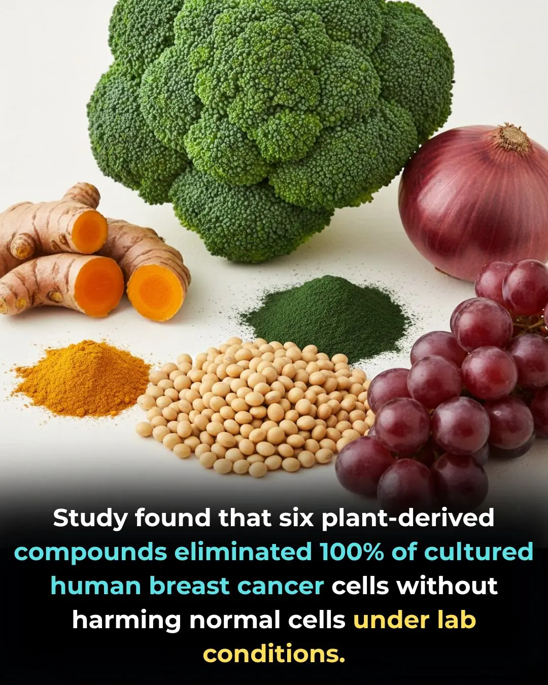 A 2013 study conducted by researchers