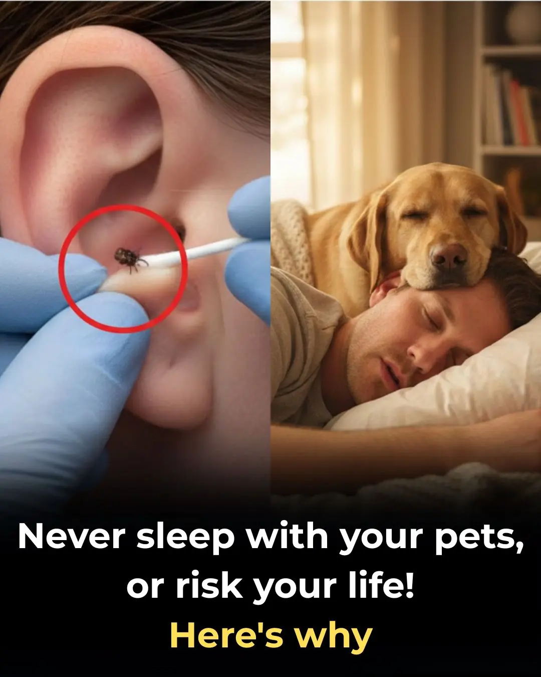 Don’t Sleep With Your Pets
