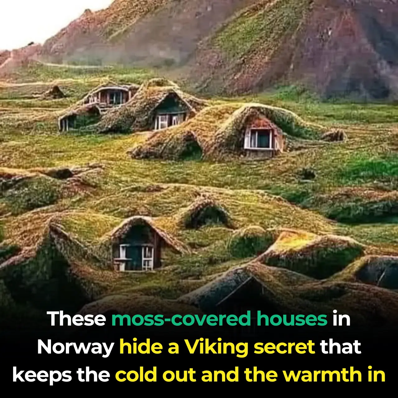 A Touch of Viking Brilliance: Moss-Carpeted Homes in Norway